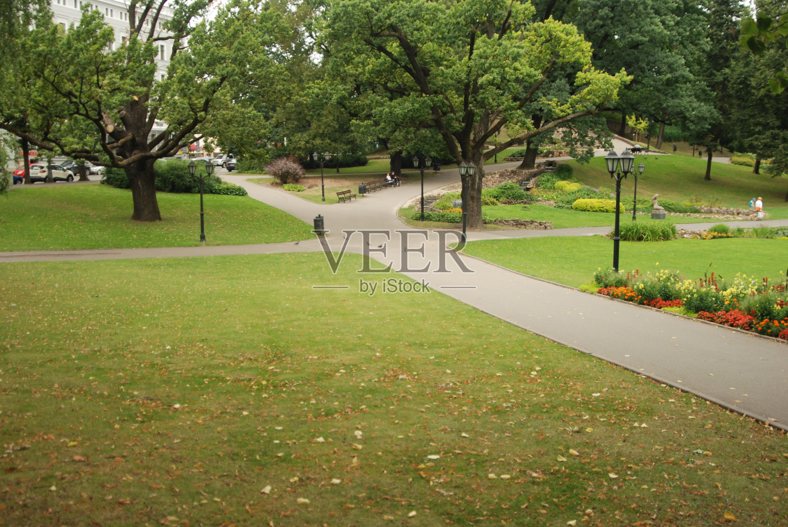 城市里有一个带花园的绿色公园。照片摄影图片