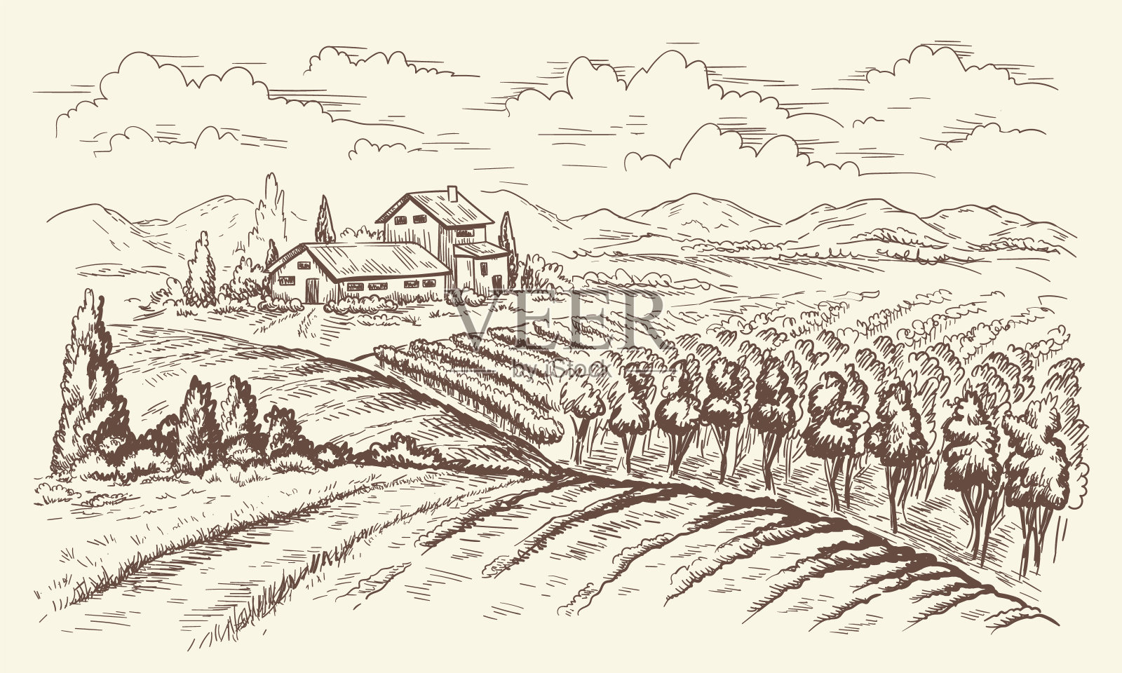 线性葡萄园景观插画图片素材