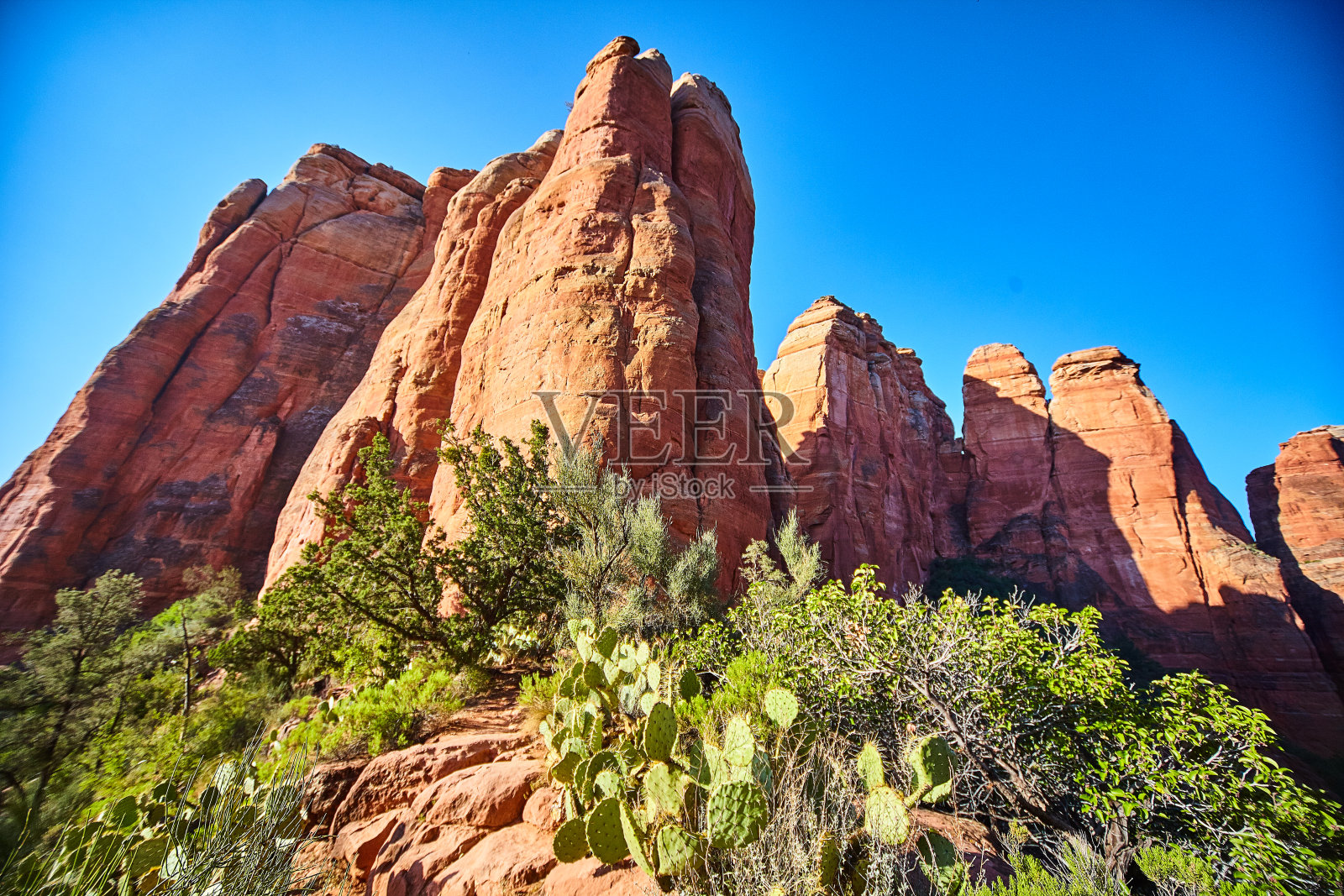 橙色的岩石和橙色的楼梯，周围环绕着灌木，通向它们照片摄影图片