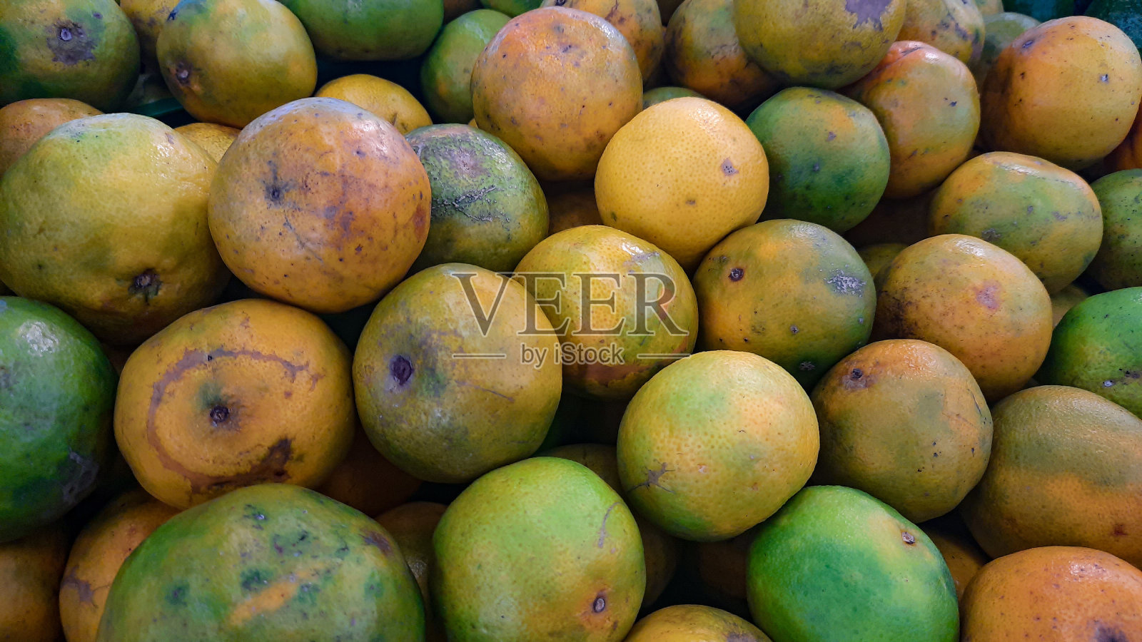 甜橙照片摄影图片