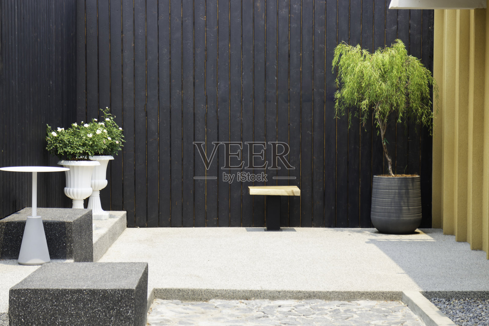 热带园林用植物石照片摄影图片