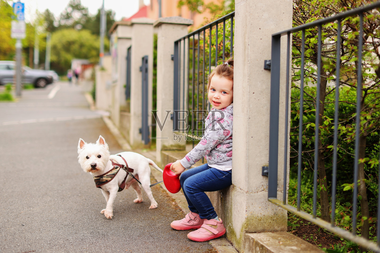 小女孩和她的狗西高地梗一起走在外面照片摄影图片