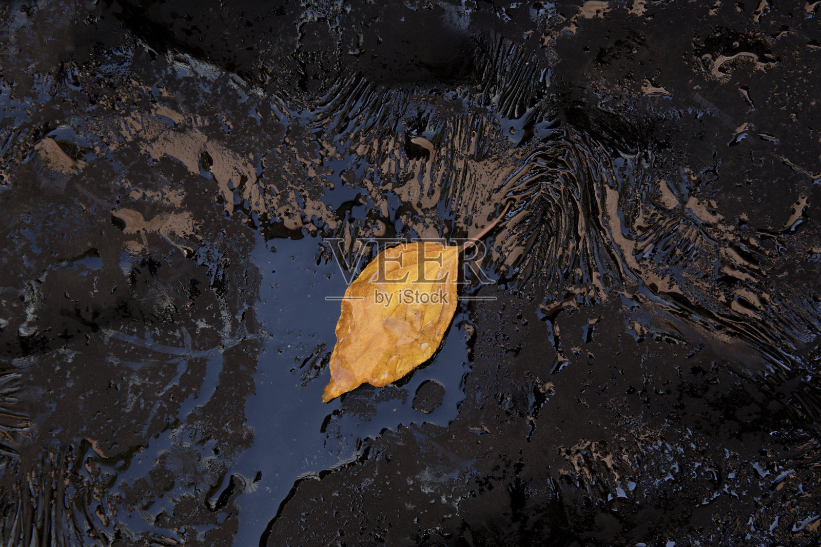 黑底黄秋叶工业树脂。石油，能源，燃料，环境和污染的概念。照片摄影图片