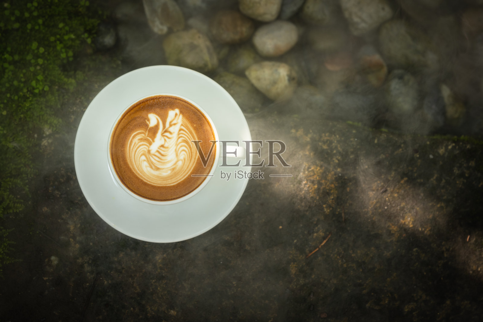 花园里石头上有叶子的咖啡杯照片摄影图片