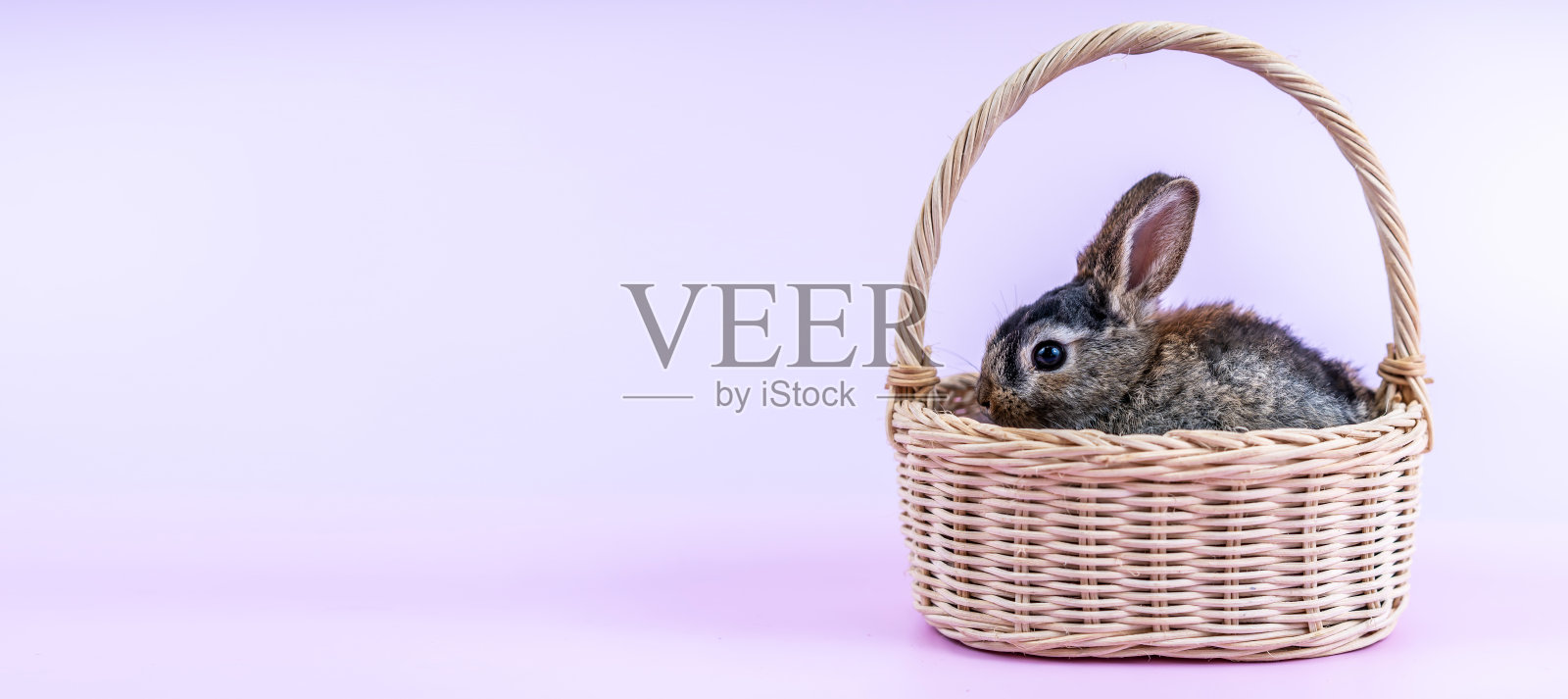 复活节小兔子坐在篮子里孤立的粉红色背景照片摄影图片