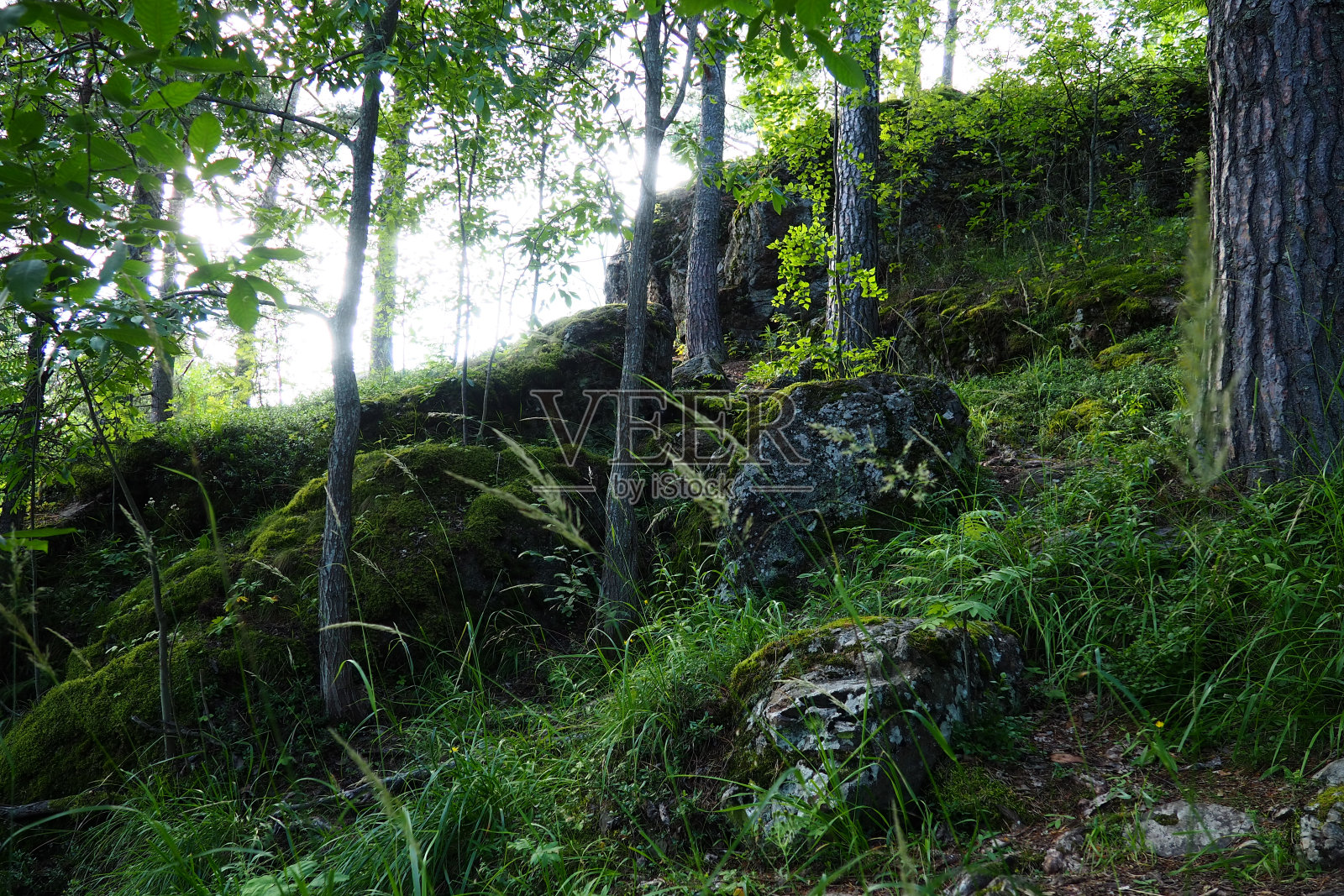 魔鬼的椅子是一个岩石地带，是一个自然的地质纪念碑，位于瓦拉拉山的斜坡上，以前是一座火山。它位于Solomennoe的Petrozavodsk，位于奥涅加湖沿岸。照片摄影图片