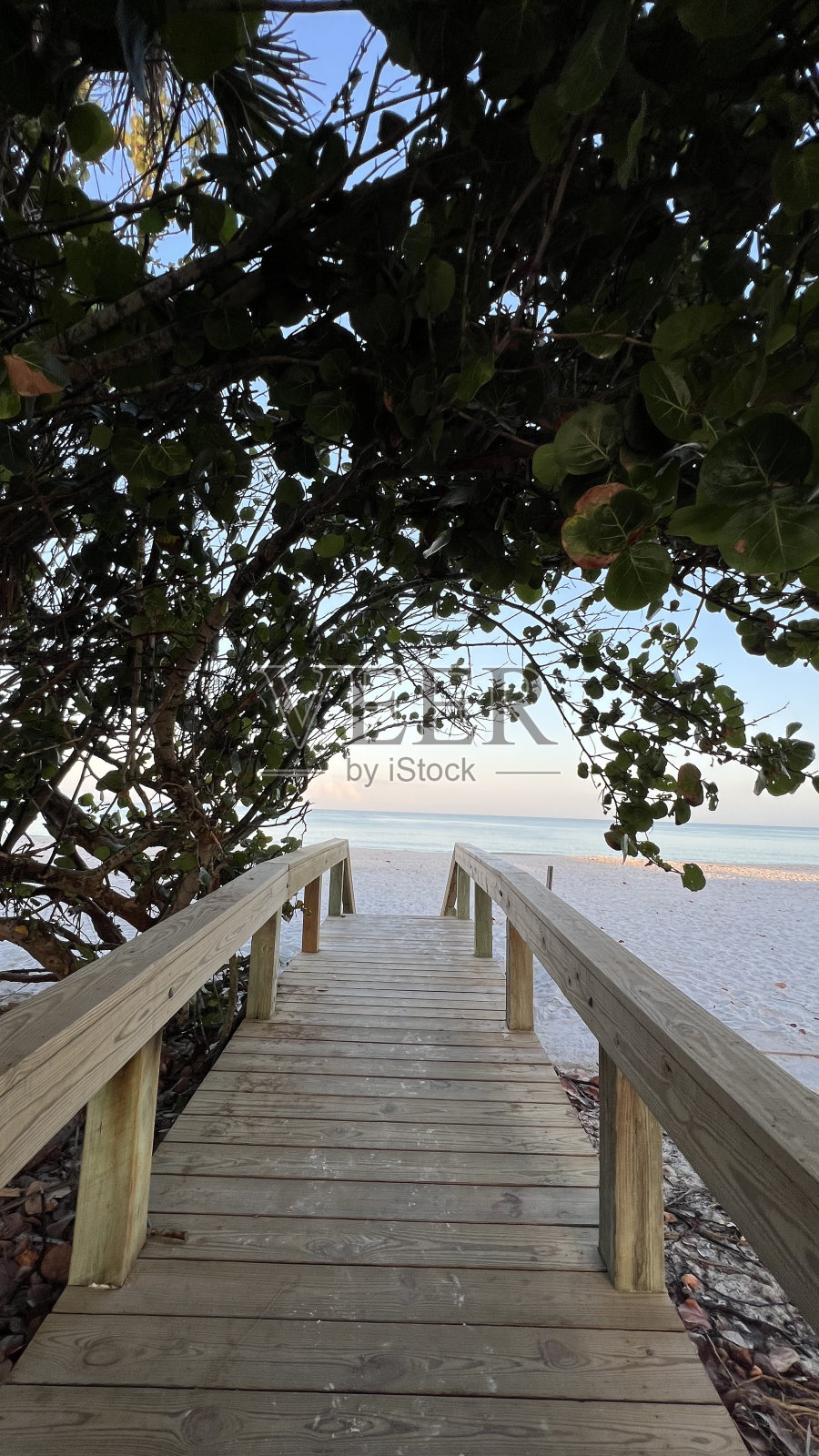 爱你到海滩再回来照片摄影图片