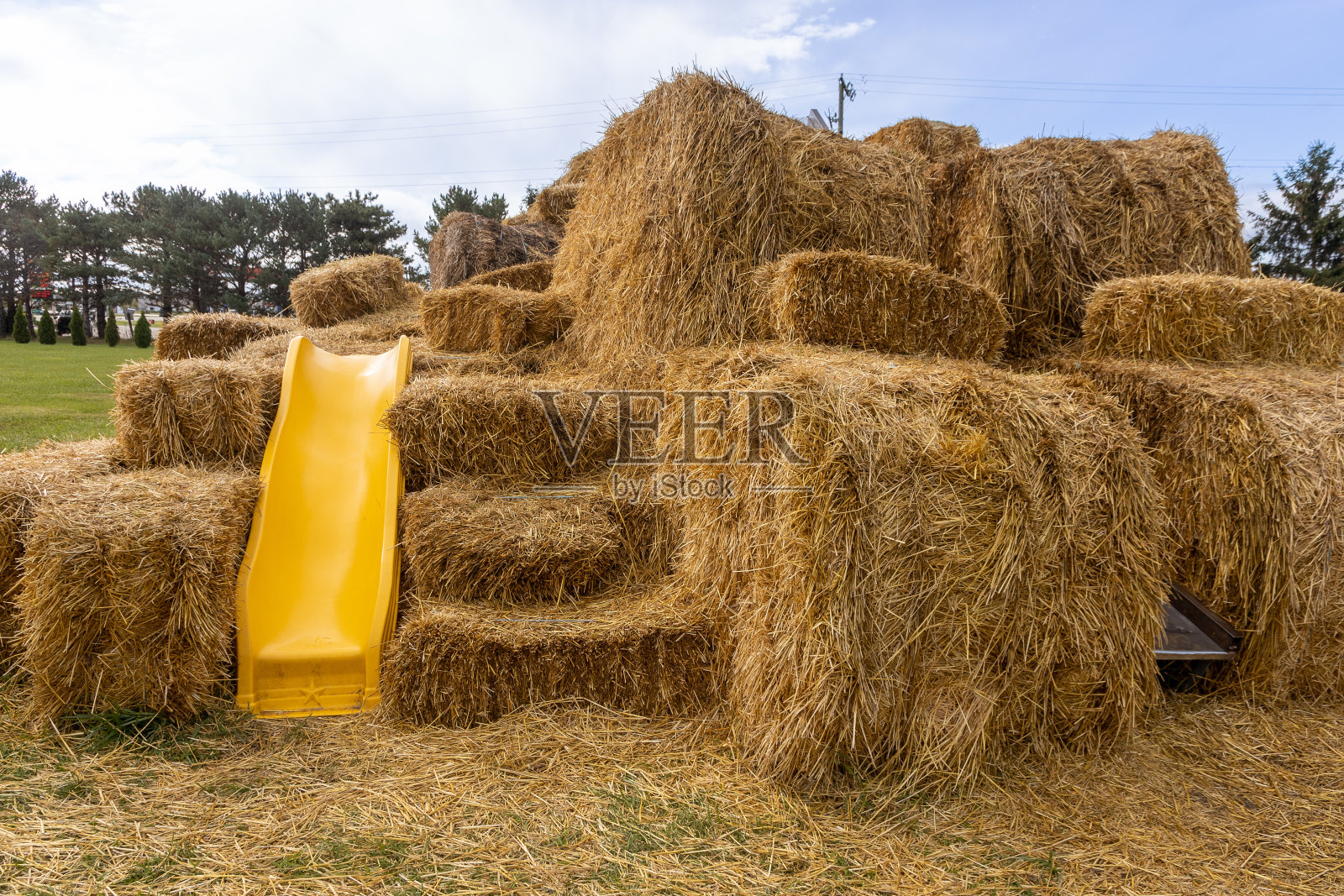 万圣节的概念。在农场收获南瓜照片摄影图片