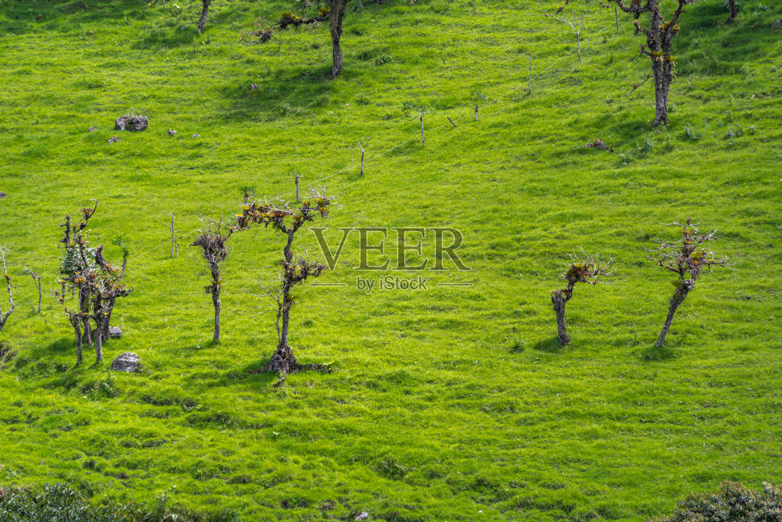景观与绿色的自然和丘陵照片摄影图片