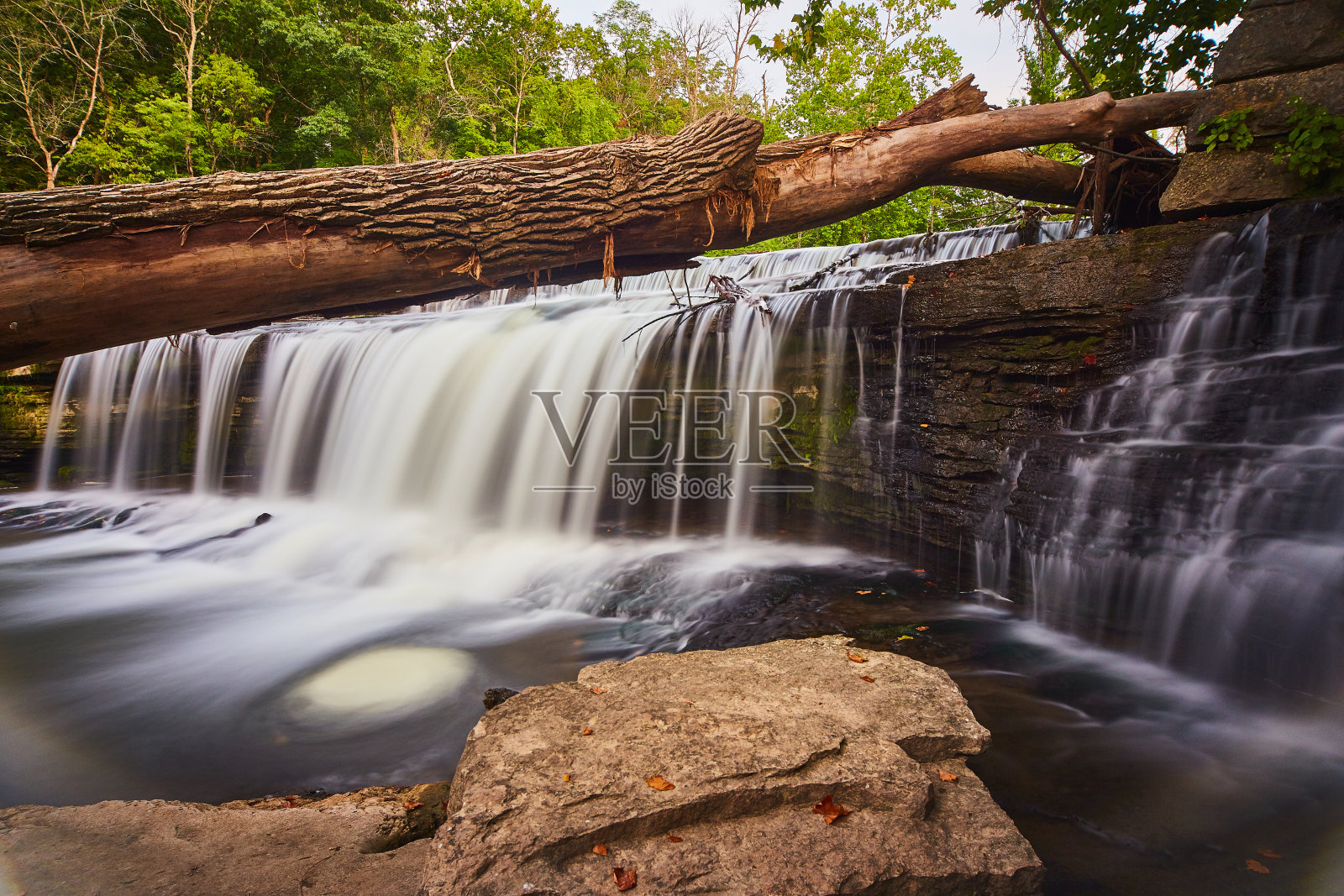 瀑布上有绿色的森林和倒下的树木，瀑布上有落下的红叶和黄叶，还有一个小漩涡照片摄影图片