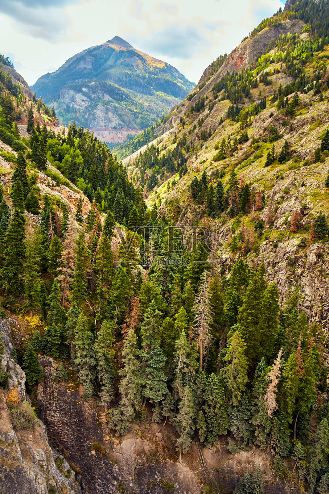 山谷在山上覆盖着松树和悬崖照片摄影图片