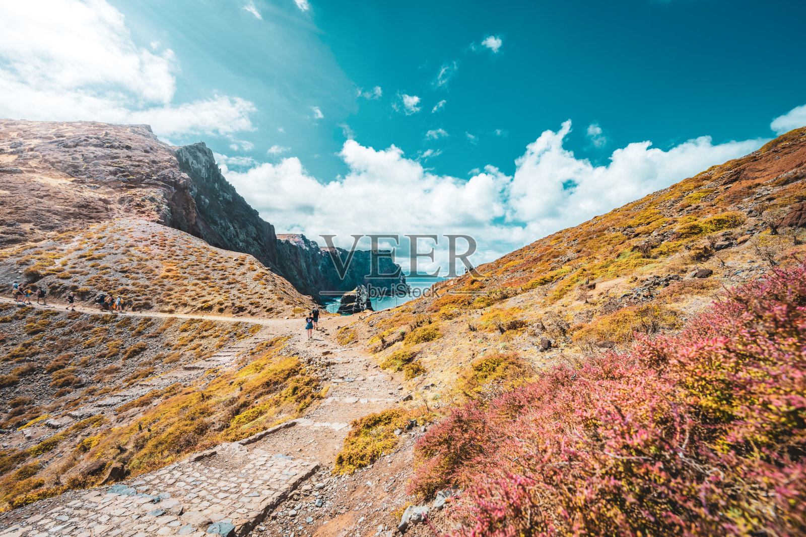 运动的女人走在铺就的小径与风景如画的岩石海岸的马德拉岛。欧洲葡萄牙马德拉岛的<s:1> o loureno。照片摄影图片