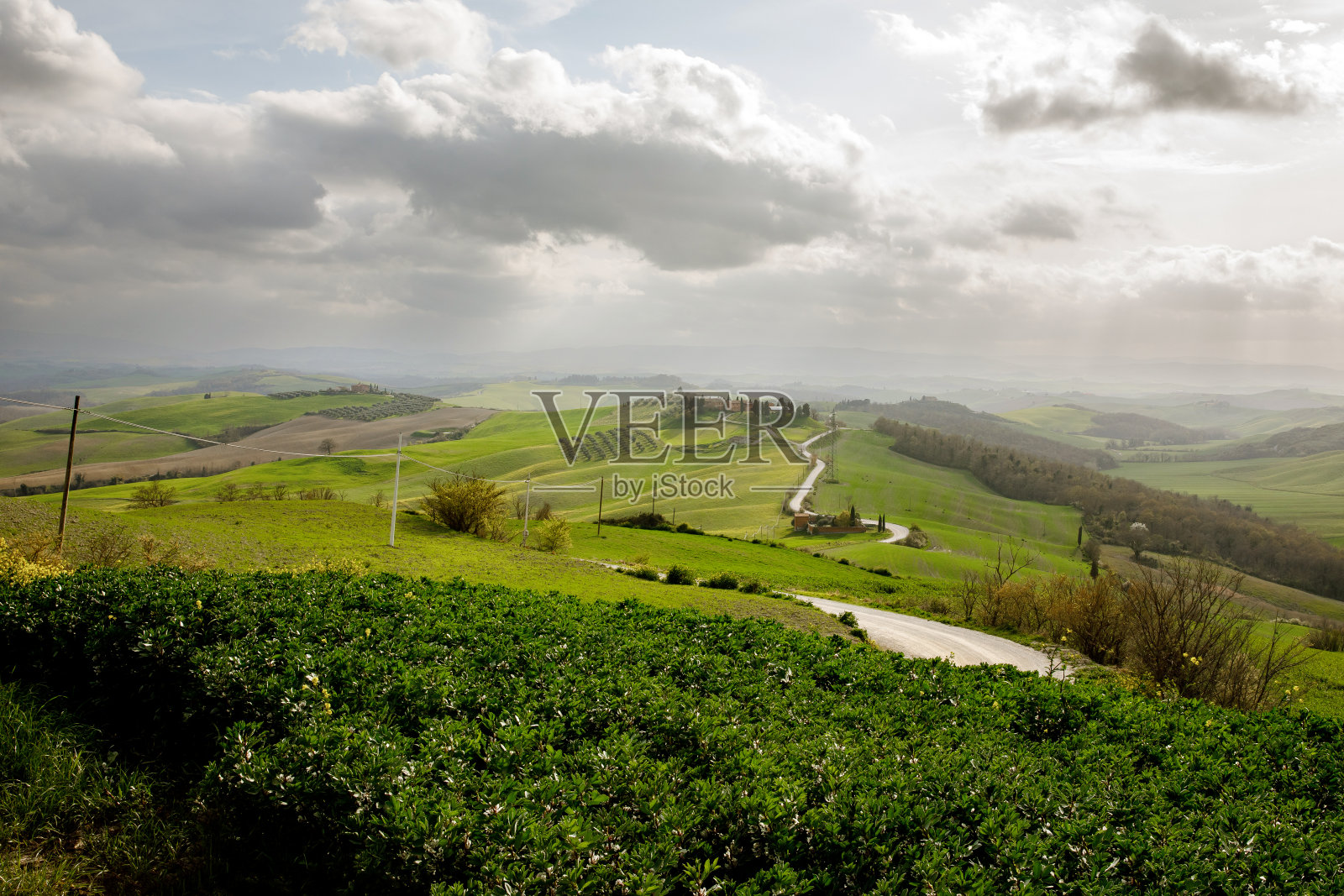 意大利托斯卡纳基安蒂地区的绿色草地和葡萄园。照片摄影图片