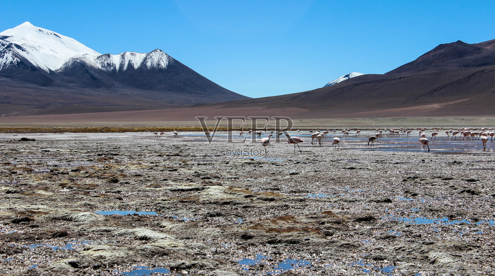 玻利维亚高原的拉古纳湖照片摄影图片