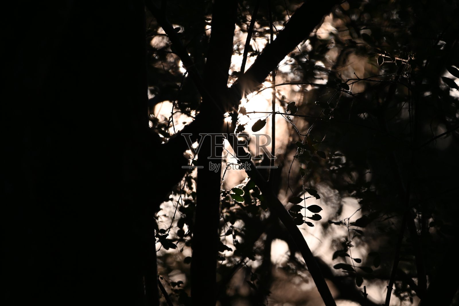 黄昏照片摄影图片