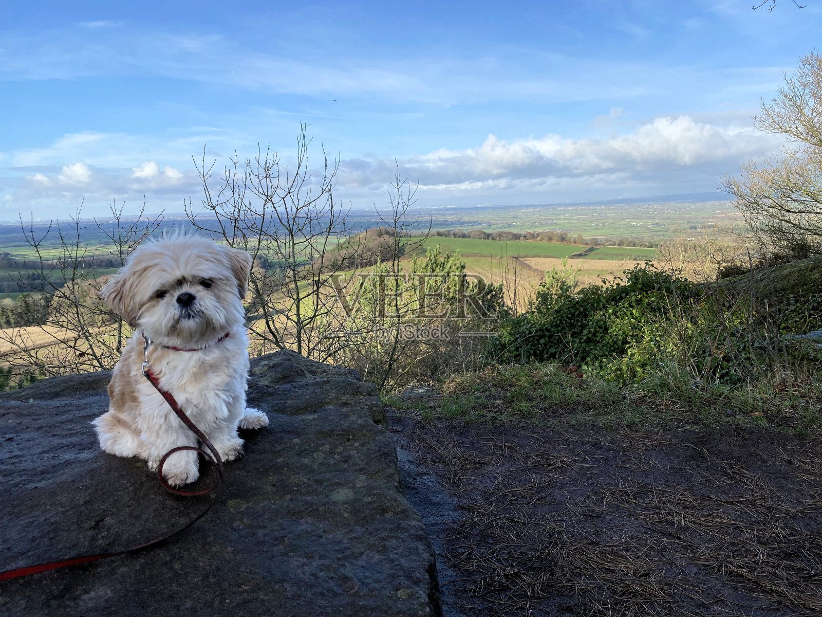 柴郡乡村的景色照片摄影图片