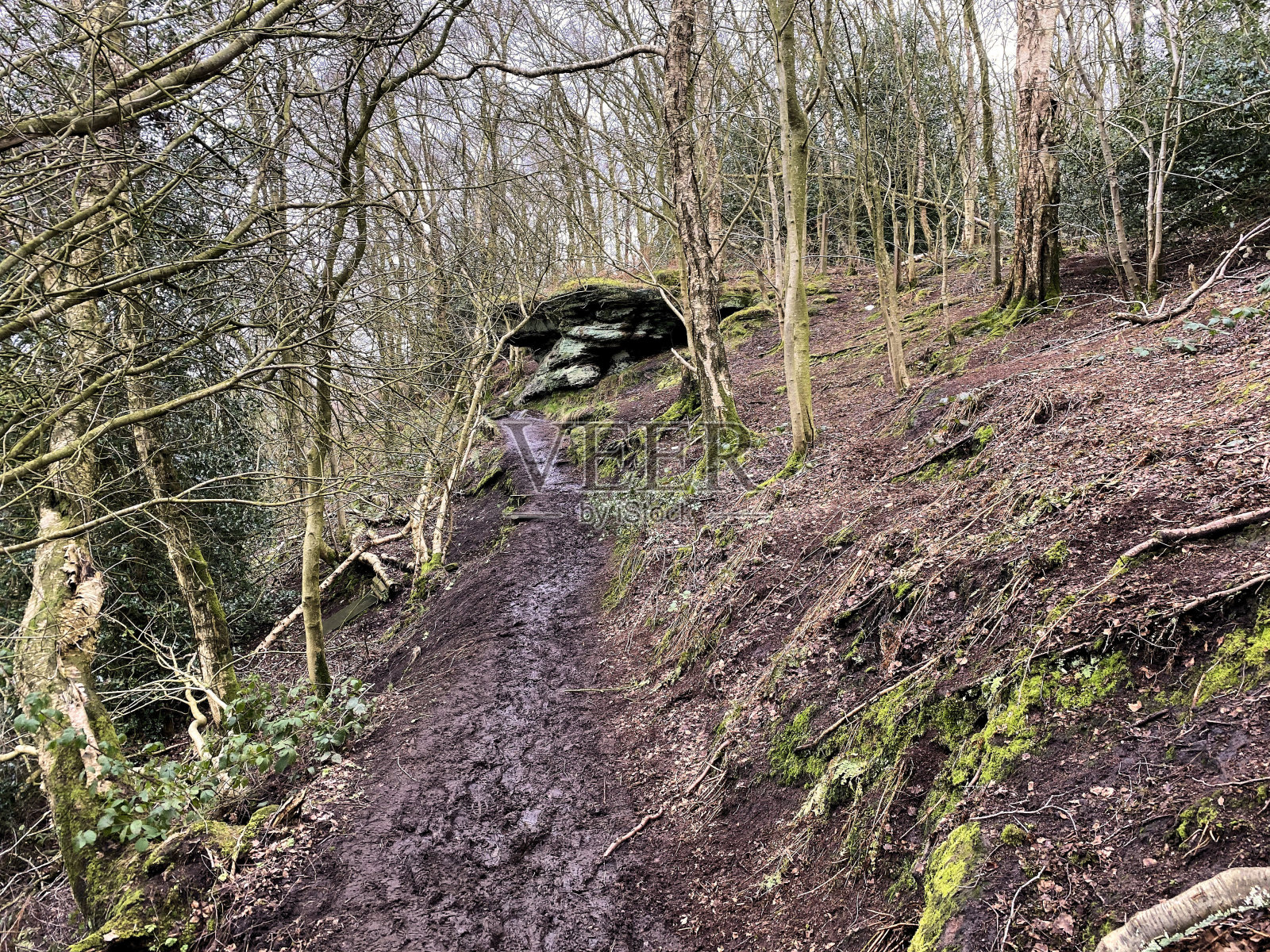 柴郡乡村的景色照片摄影图片