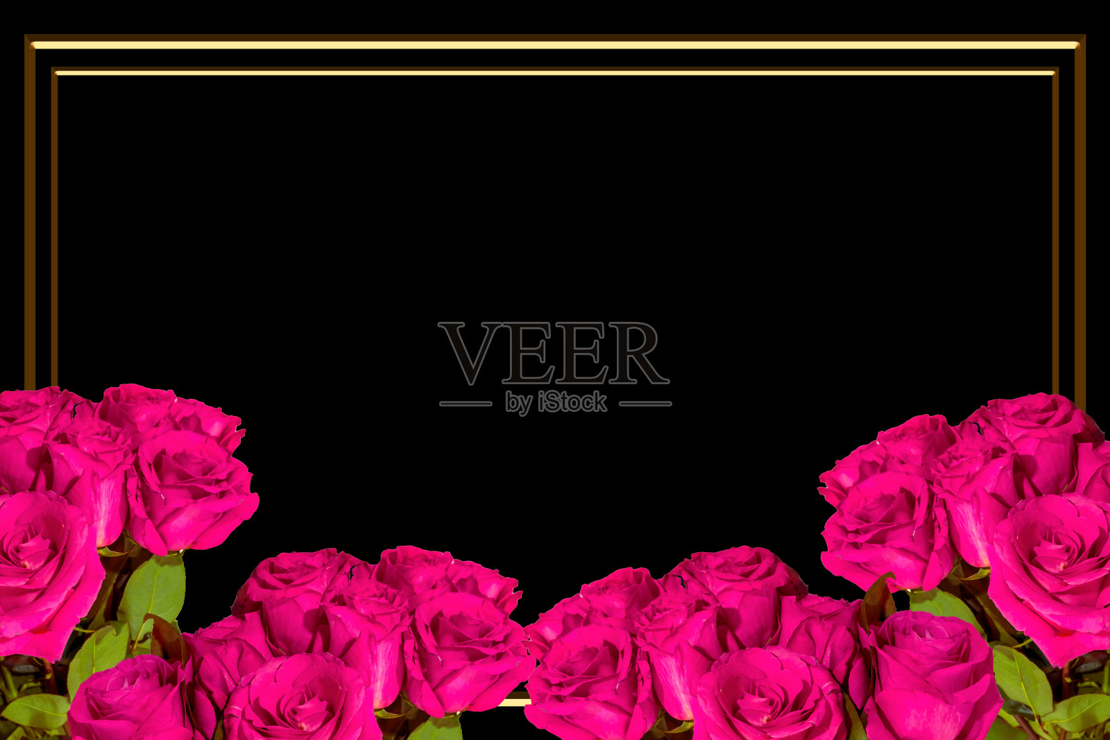 Flat Lay，死亡明信片，葬礼。美丽的粉红玫瑰照片摄影图片