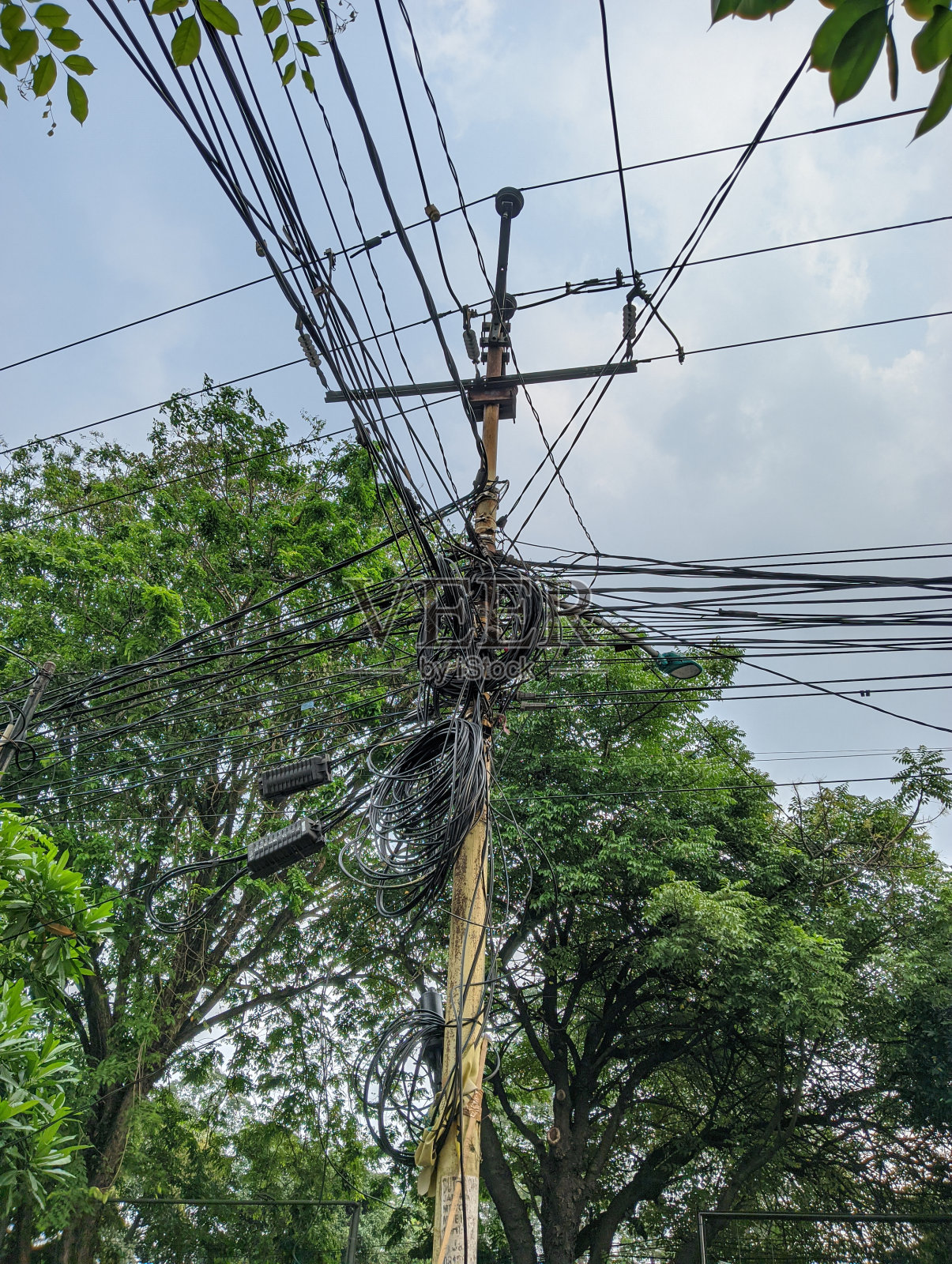 以树木和蓝天为背景，看到混乱的电缆照片摄影图片