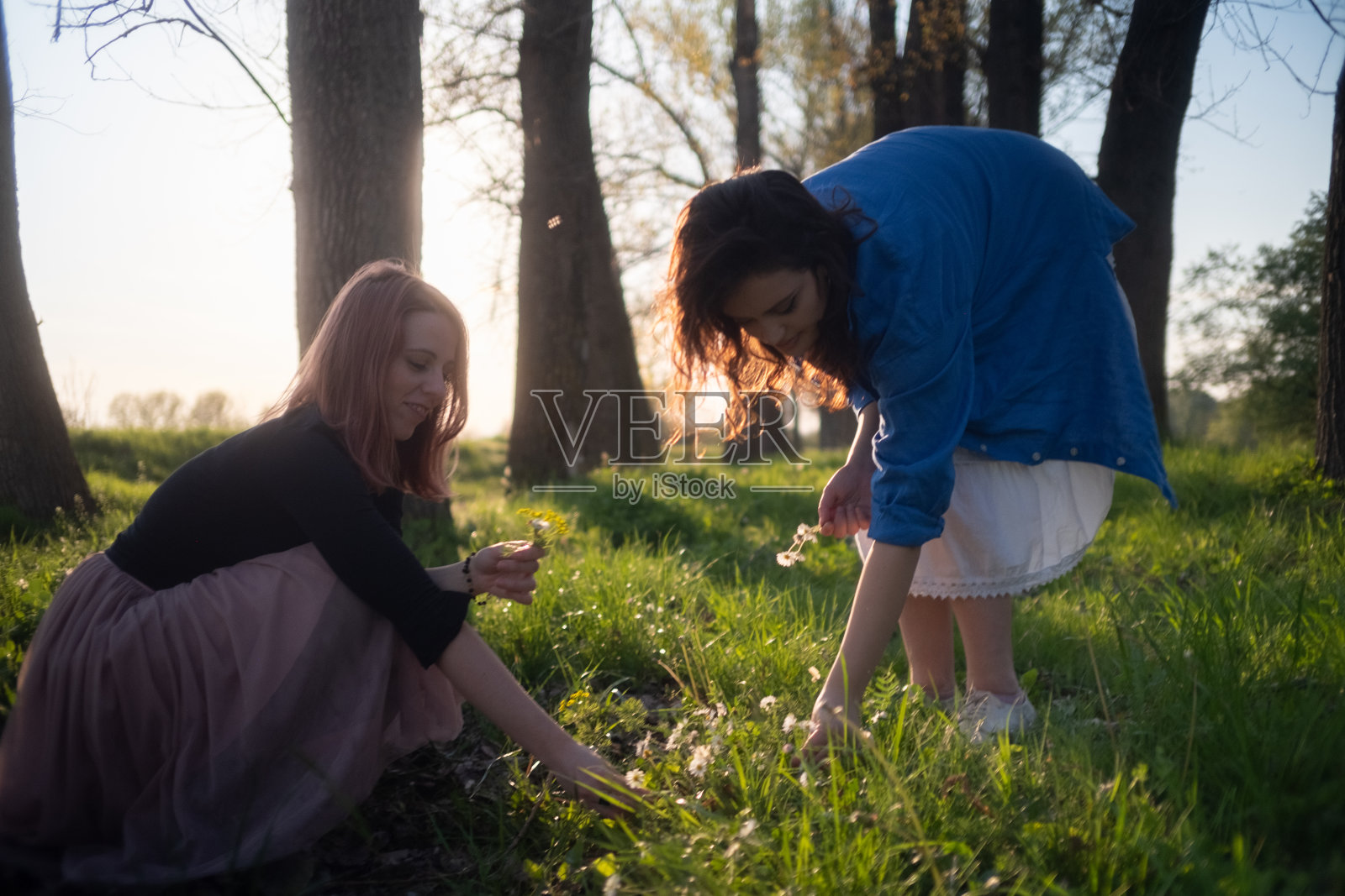 两个年轻女子在森林里采花照片摄影图片