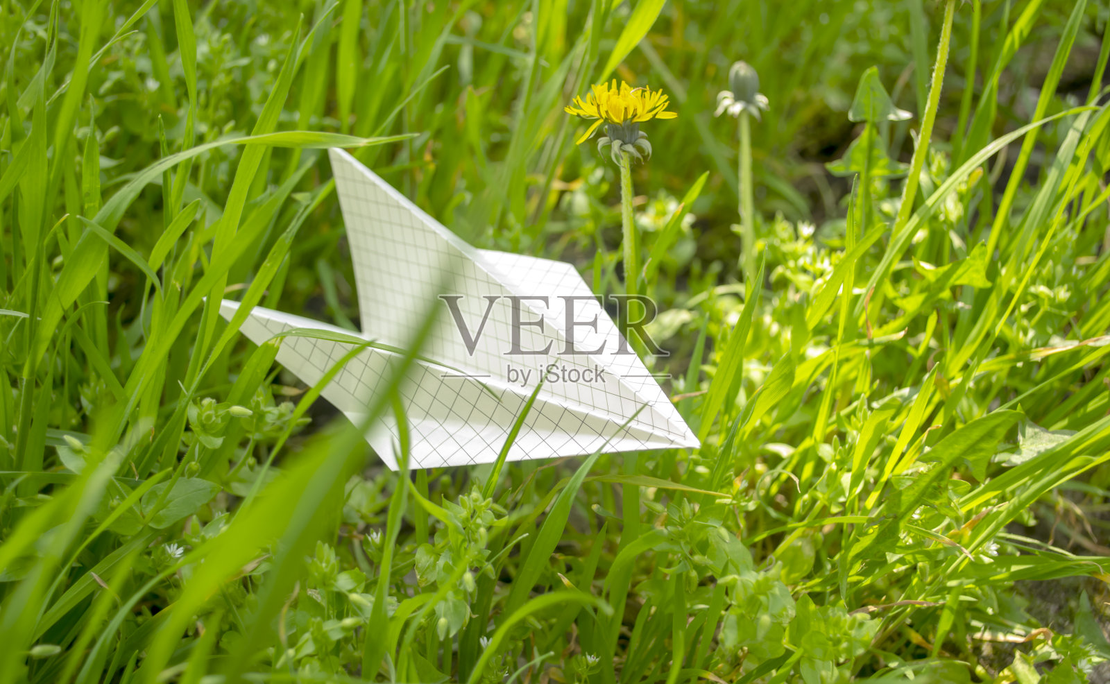 纸飞机在草旁边的一朵花。格子纸做的纸飞机。在绿草纸飞机-折纸。照片摄影图片