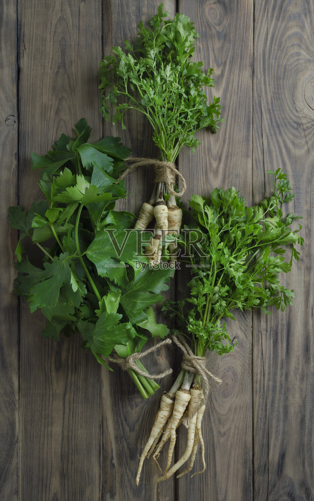 带根的新鲜绿色欧芹。做沙拉用的新鲜香草。有机食品。排毒饮料的成分。农业照片摄影图片