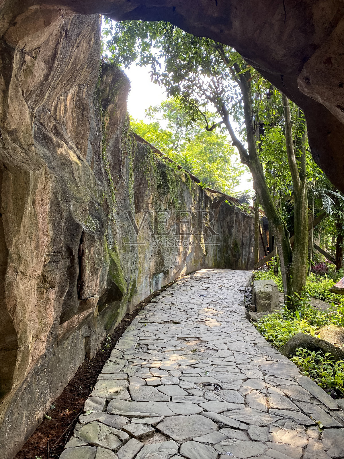 绿色公园内被树木和巨石环绕的小径照片摄影图片