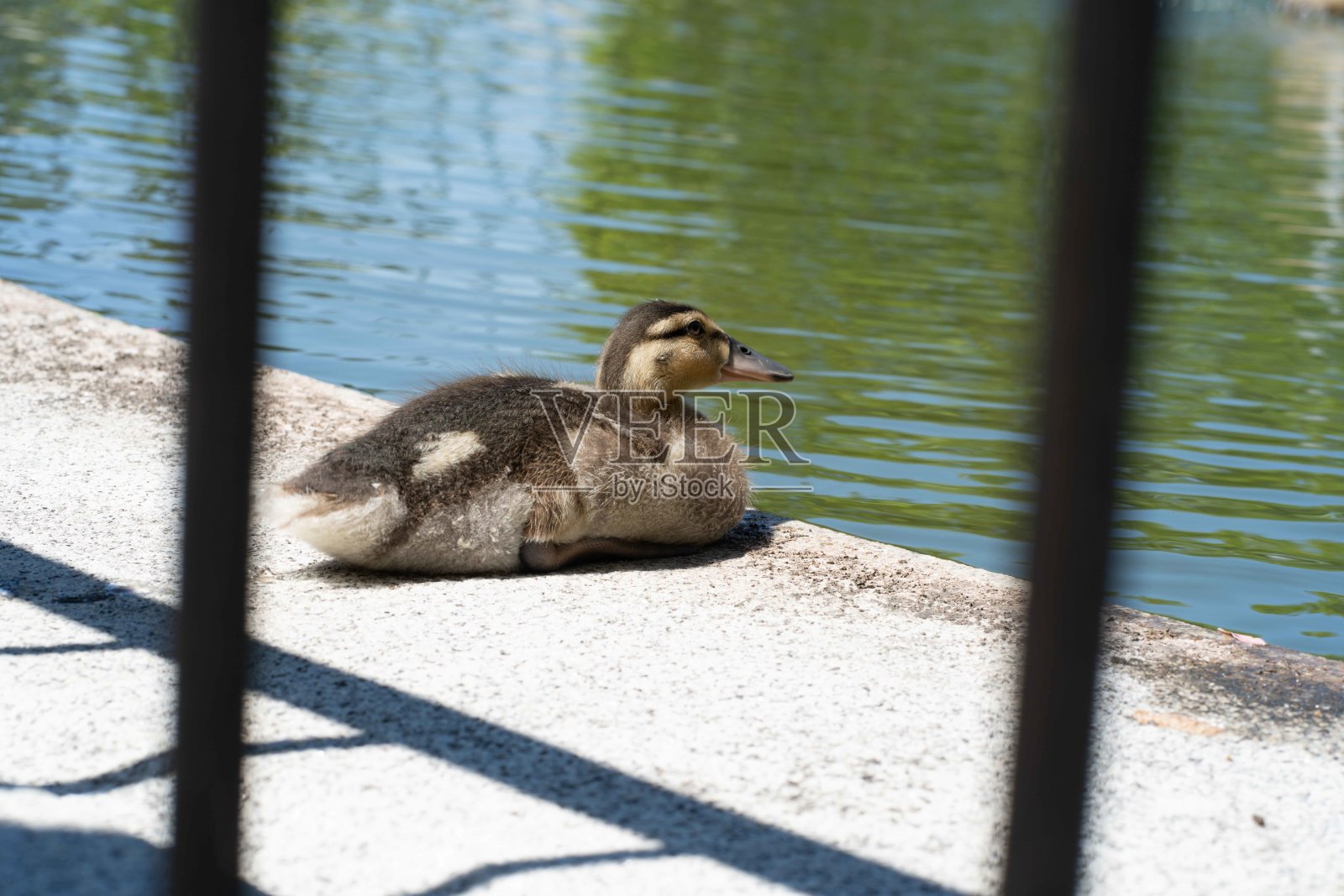 的植物学家照片摄影图片