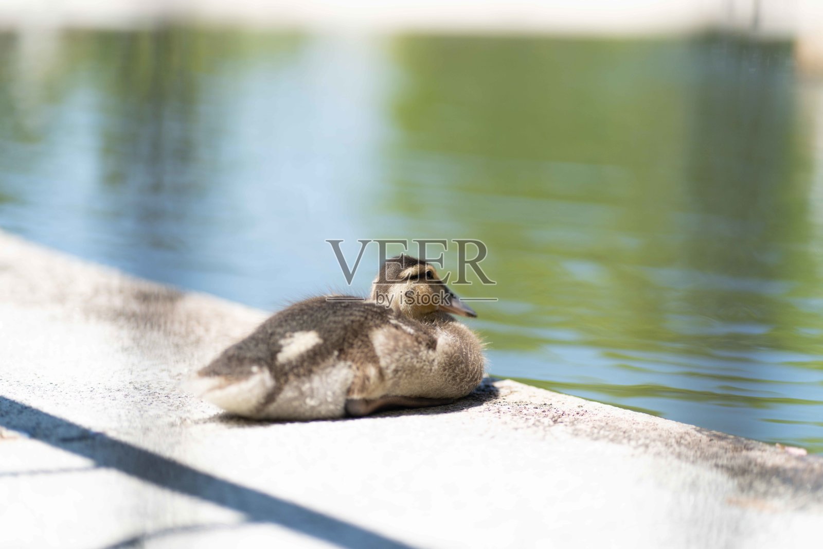 的植物学家照片摄影图片