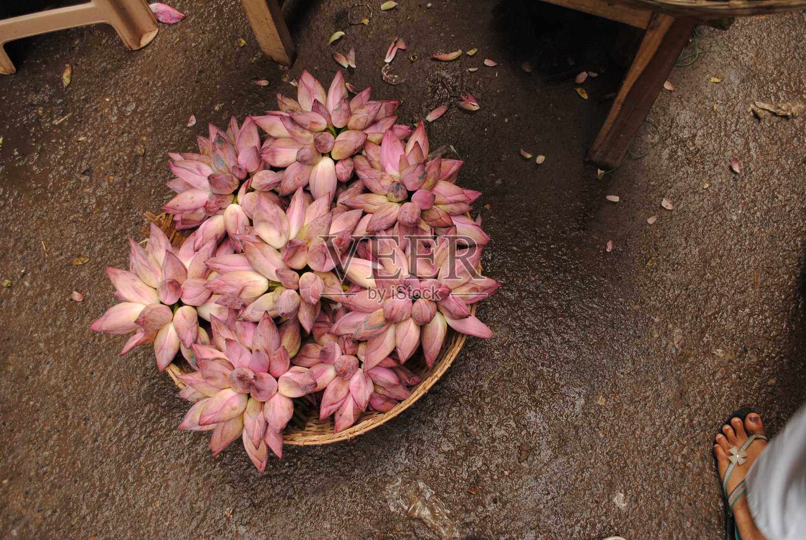 水丽丽照片摄影图片