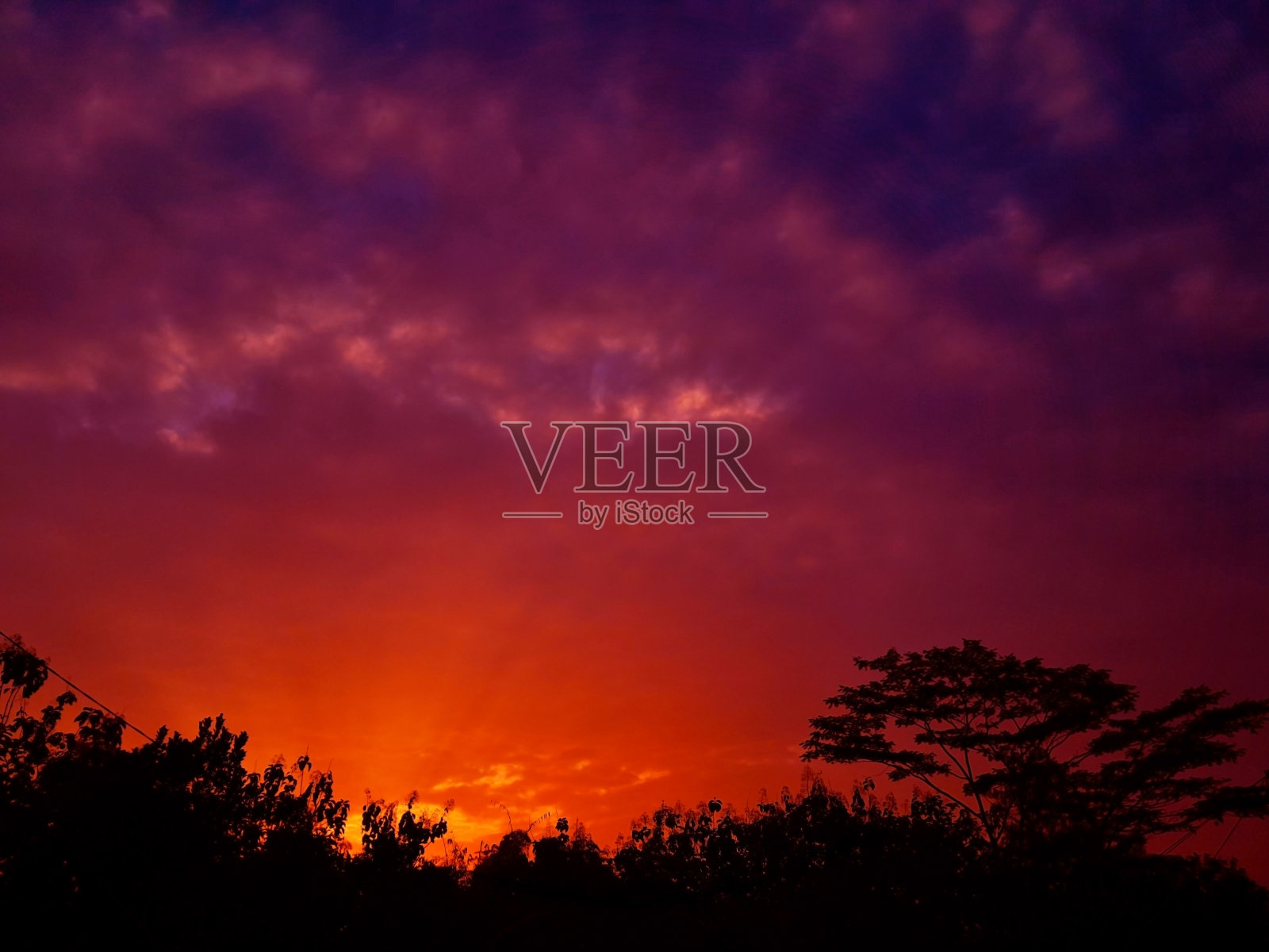 夕阳和树的剪影照片摄影图片