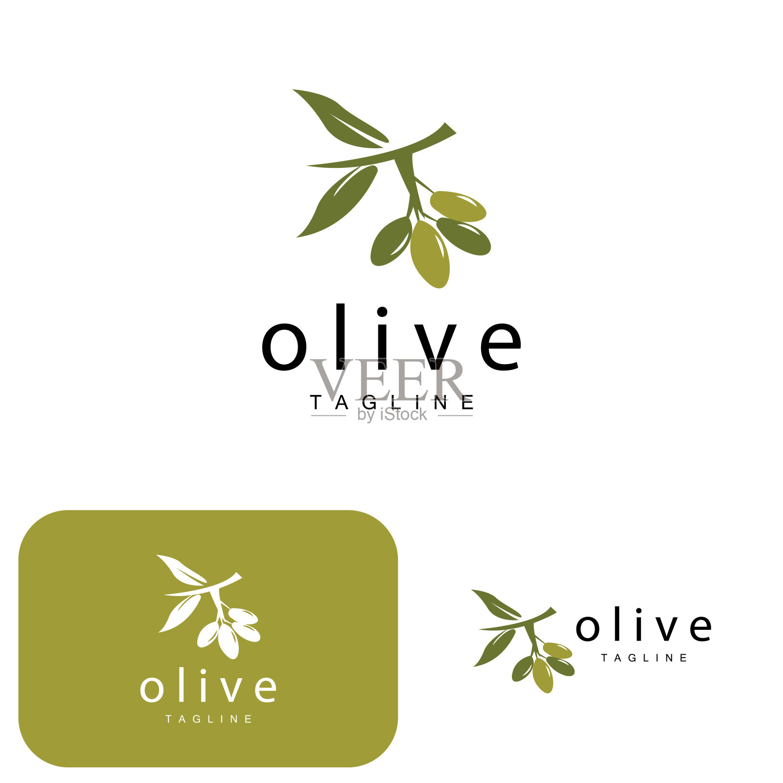橄榄标志，橄榄油植物矢量，天然草药保健药物设计，插图模板图标插画图片素材