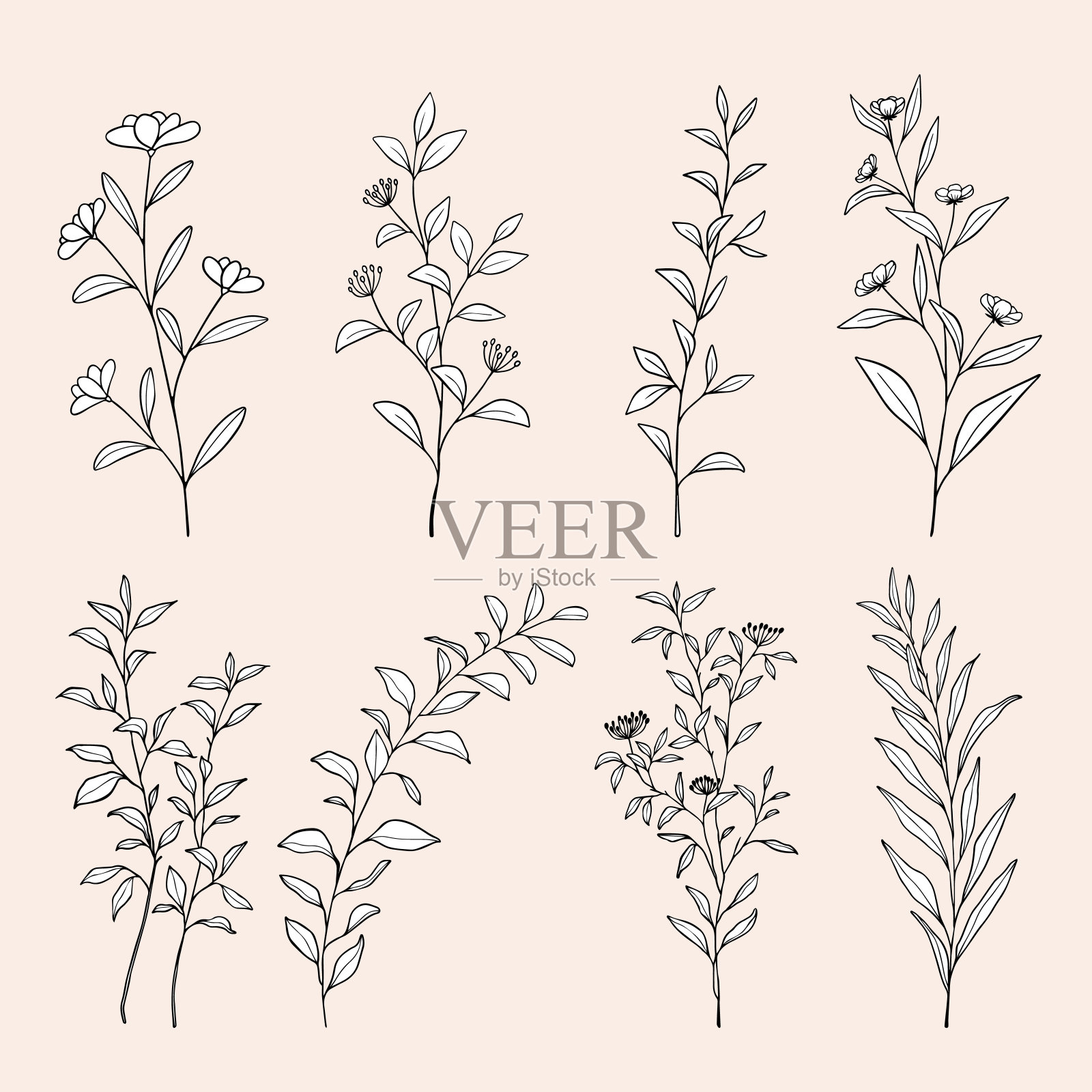 花卉花卉线条艺术绘画。手绘花卉植物叶的轮廓。插画图片素材