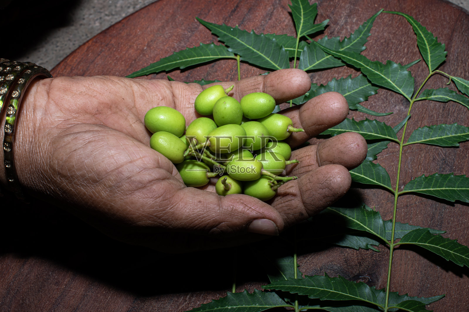 印楝或印楝的叶子和果实在木制桌子的背景上，草药印楝的叶子照片摄影图片