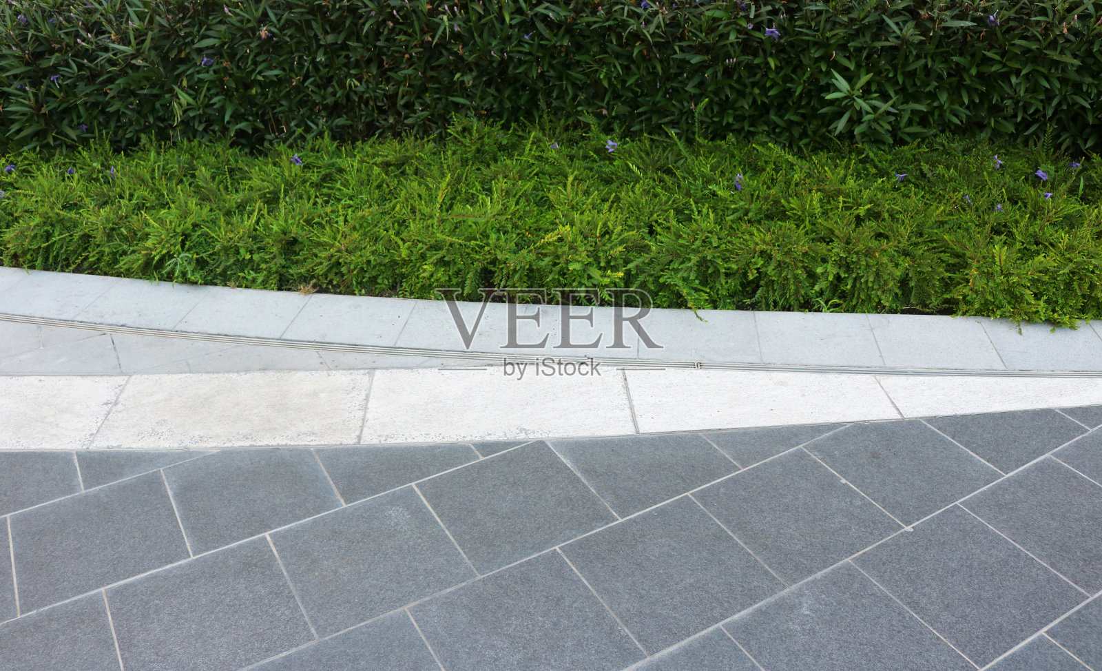 花园里的小路。照片摄影图片