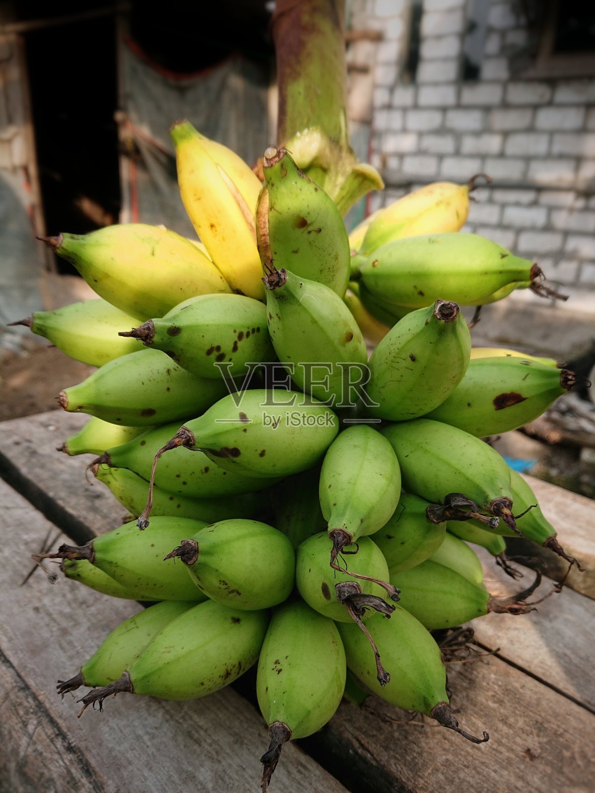 香蕉从树上熟了照片摄影图片