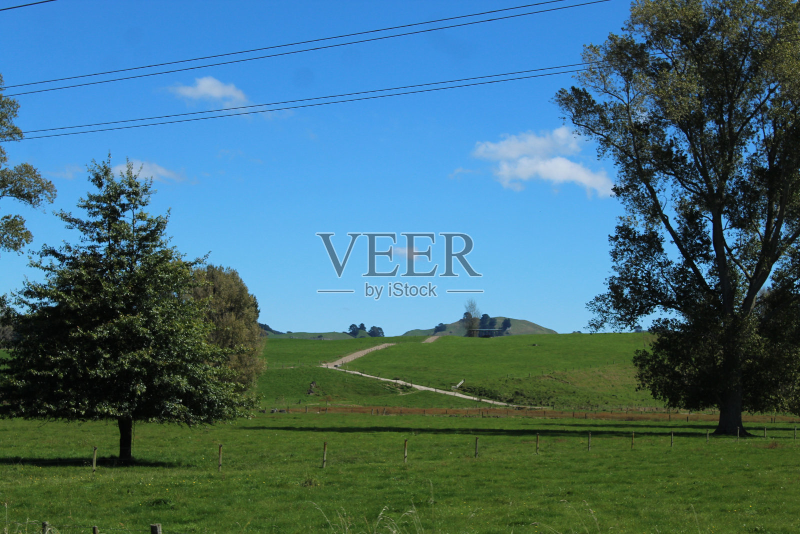 新西兰的农业照片摄影图片