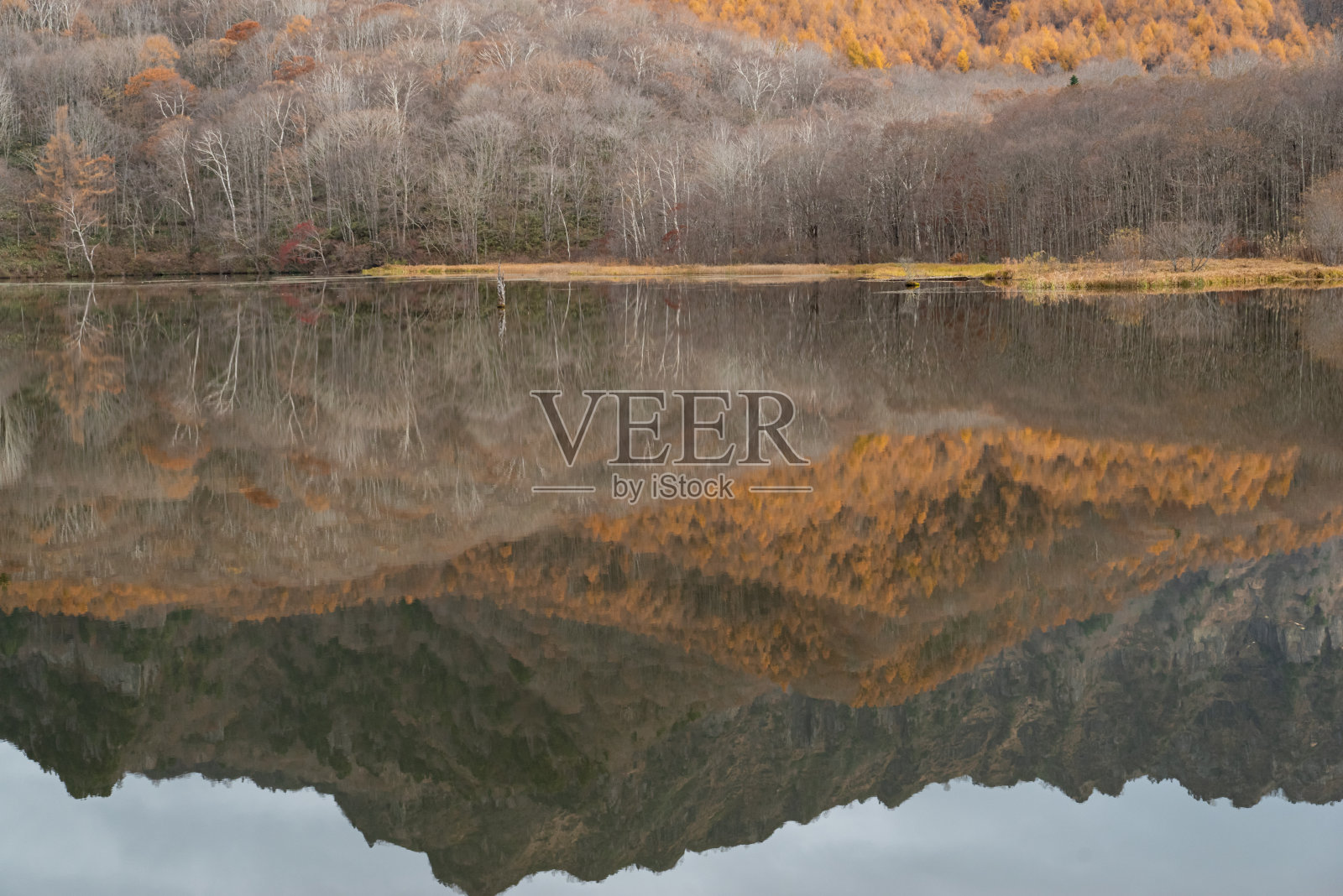 Togakushi镜池照片摄影图片