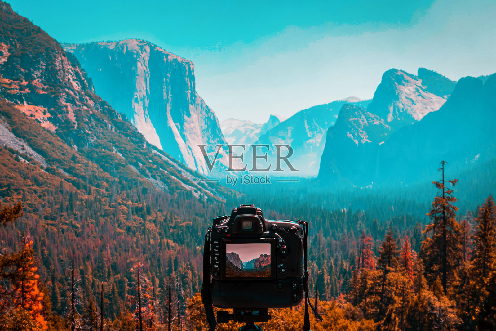 约塞米蒂国家公园清晨的日出照片摄影图片