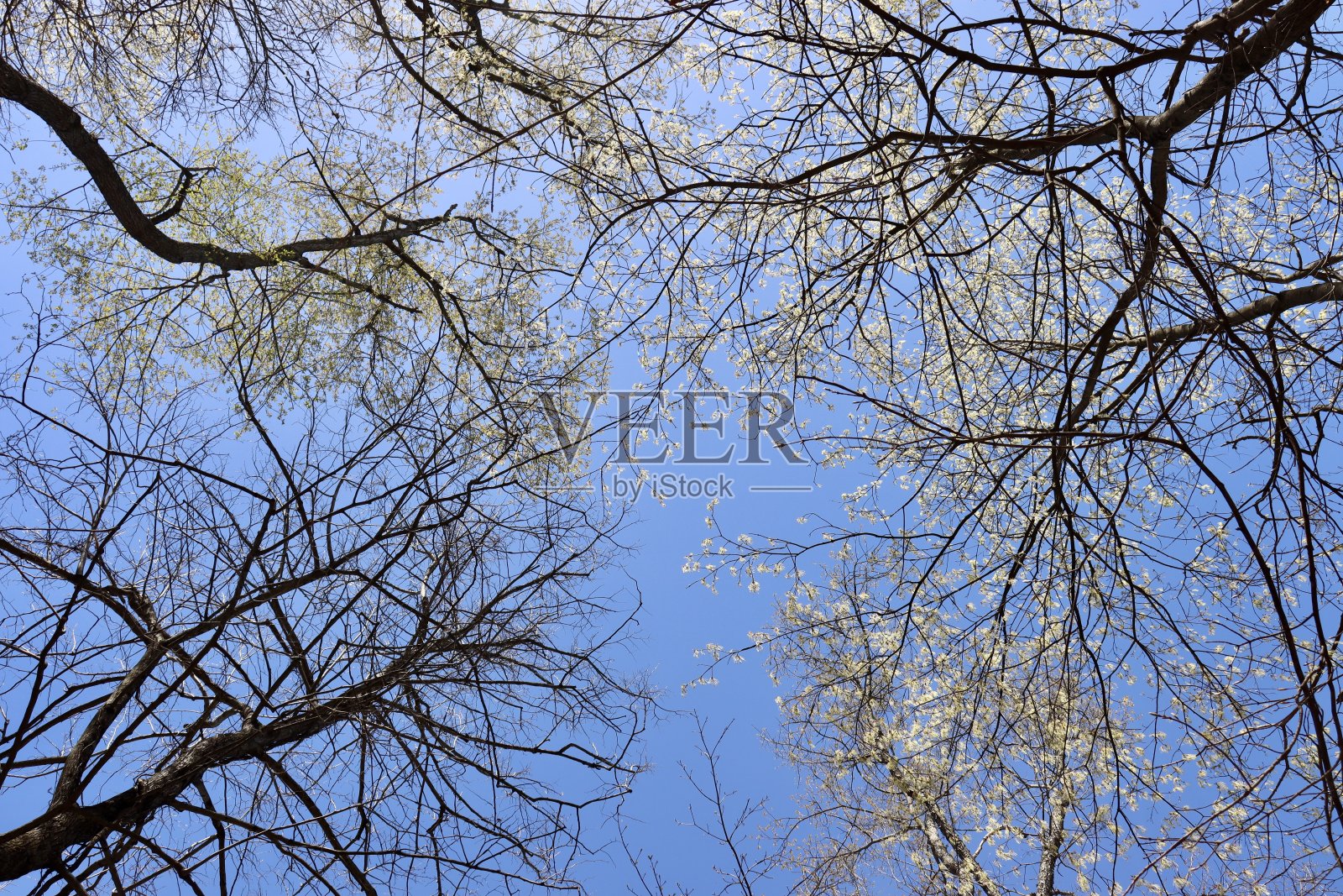 分支机构照片摄影图片