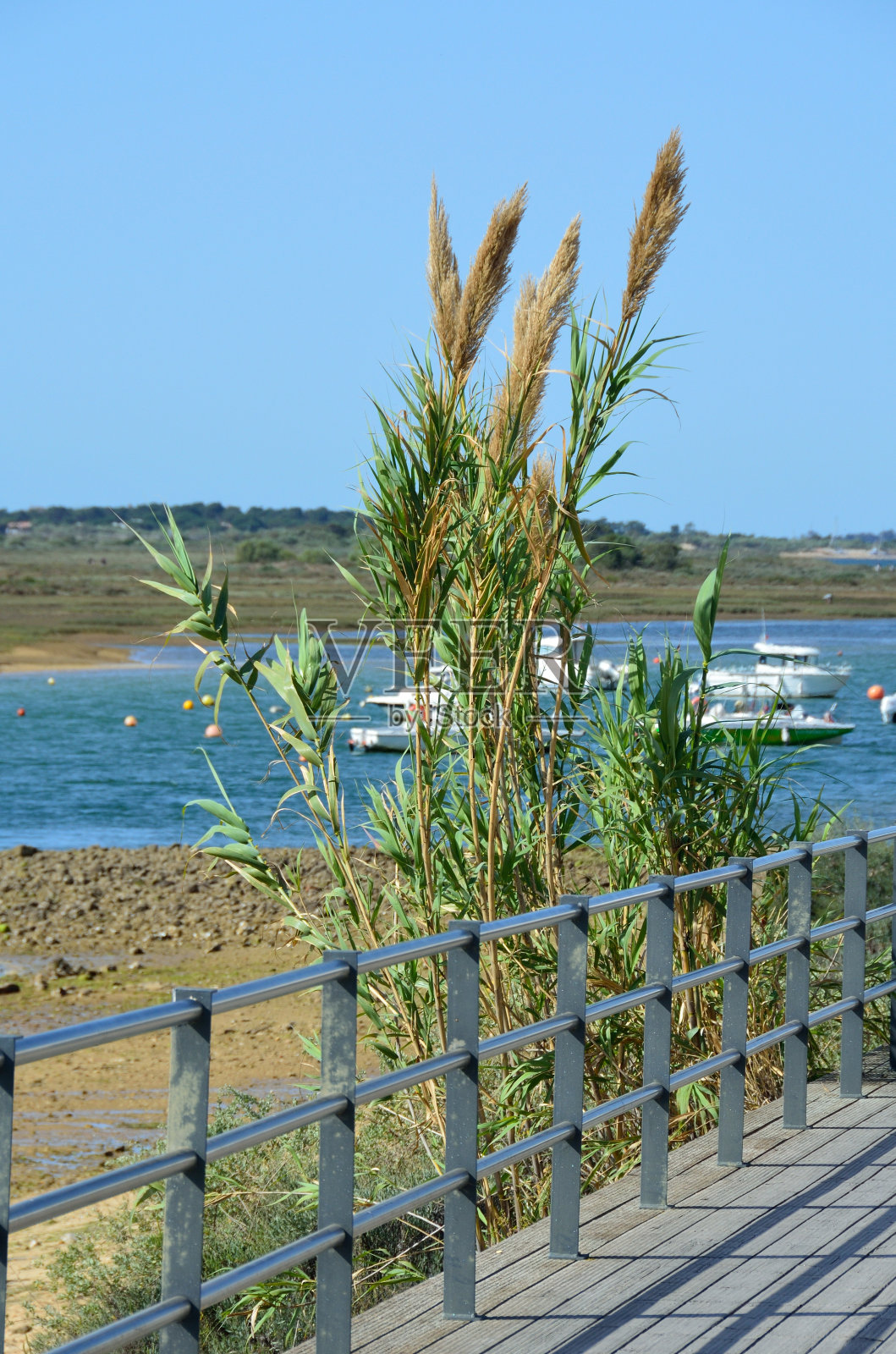 海滨长廊在卡巴纳斯德塔维拉照片摄影图片