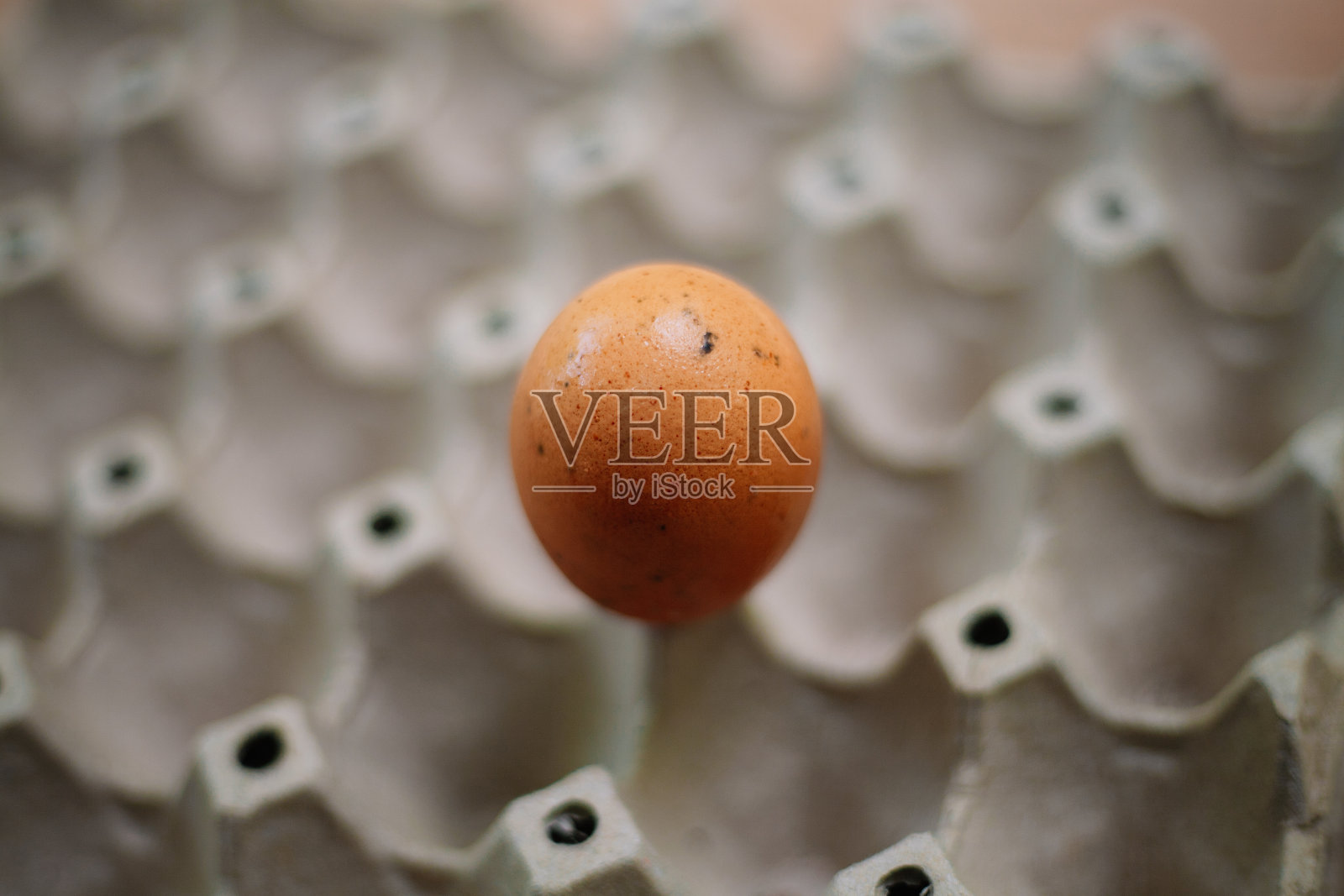 纸盒鸡蛋照片摄影图片