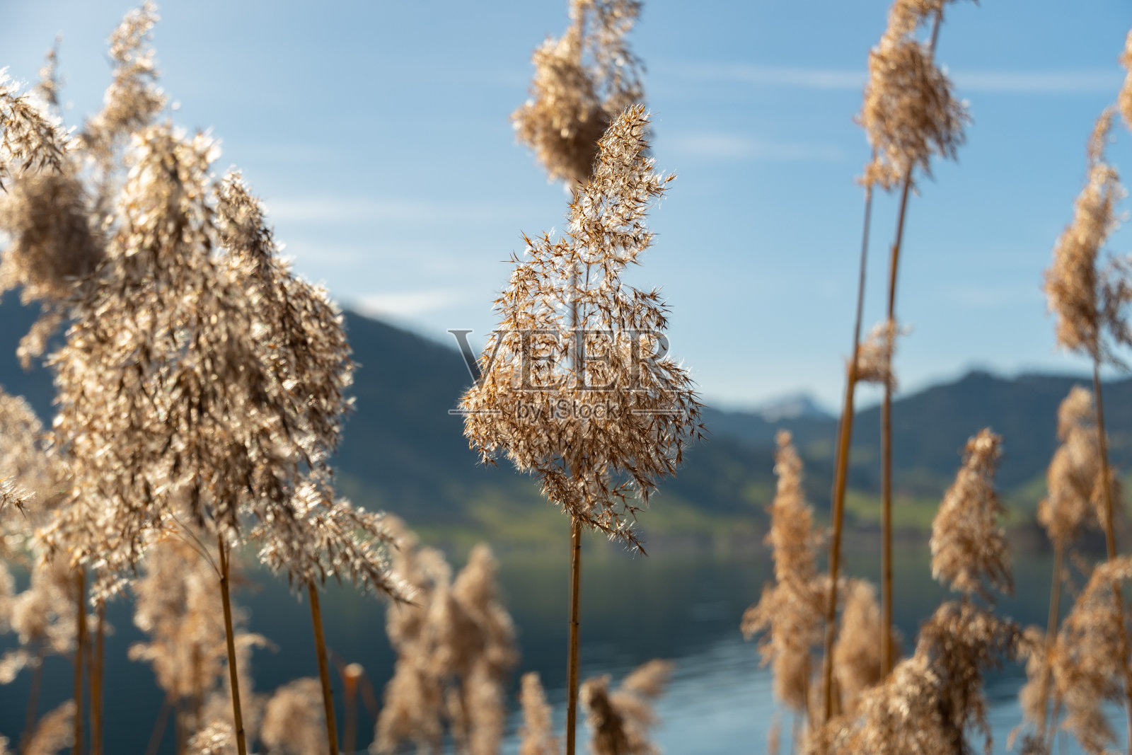 瑞士埃格里塞湖迷人的景色照片摄影图片