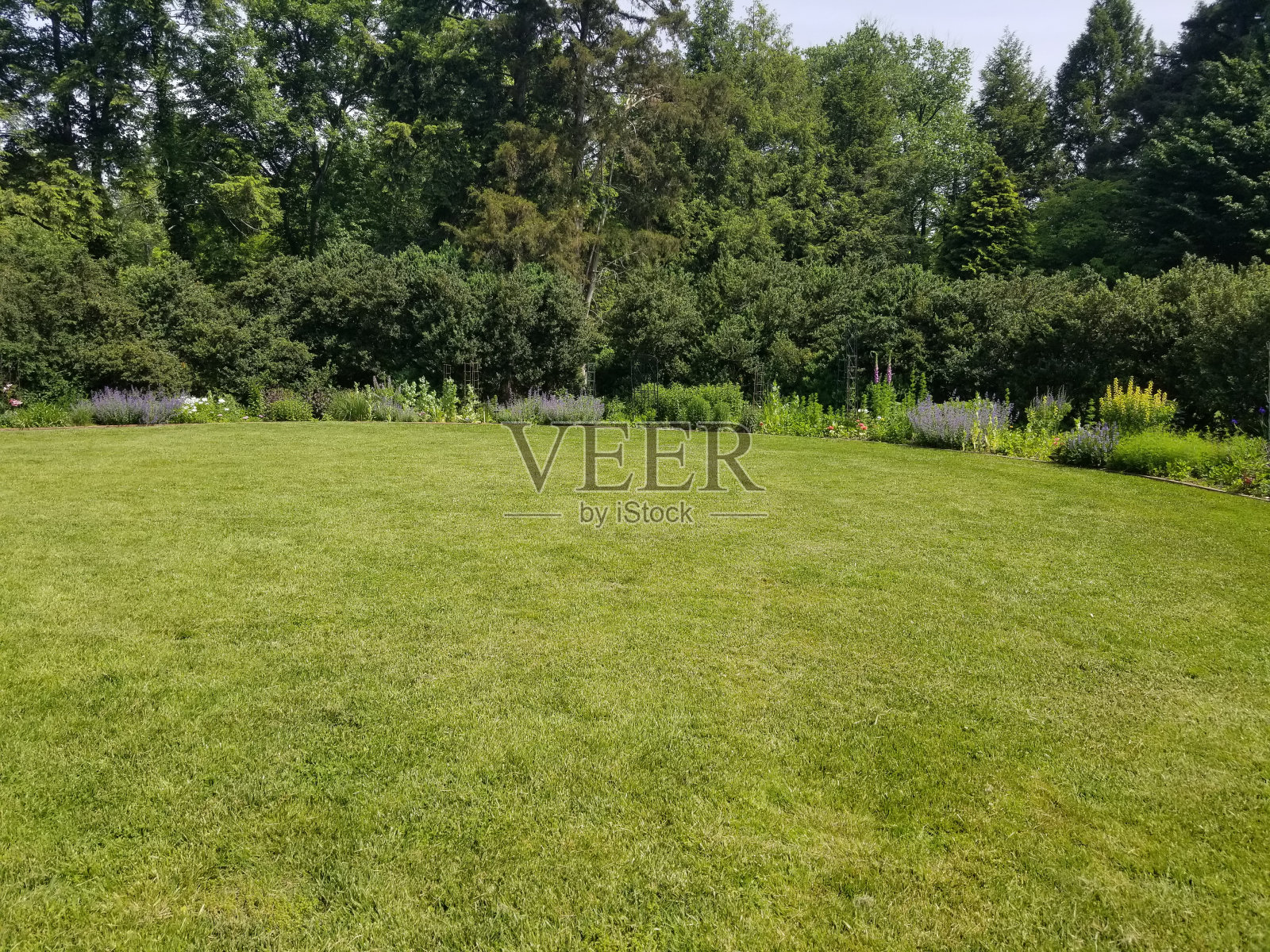 公园和池塘图片照片摄影图片