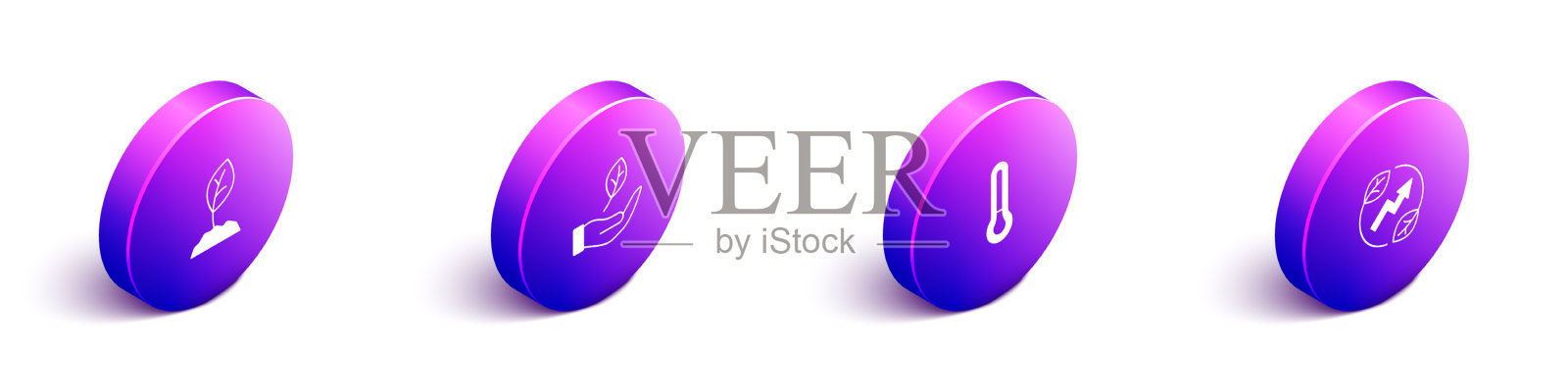 将等距芽叶放入手持温度计中图标素材