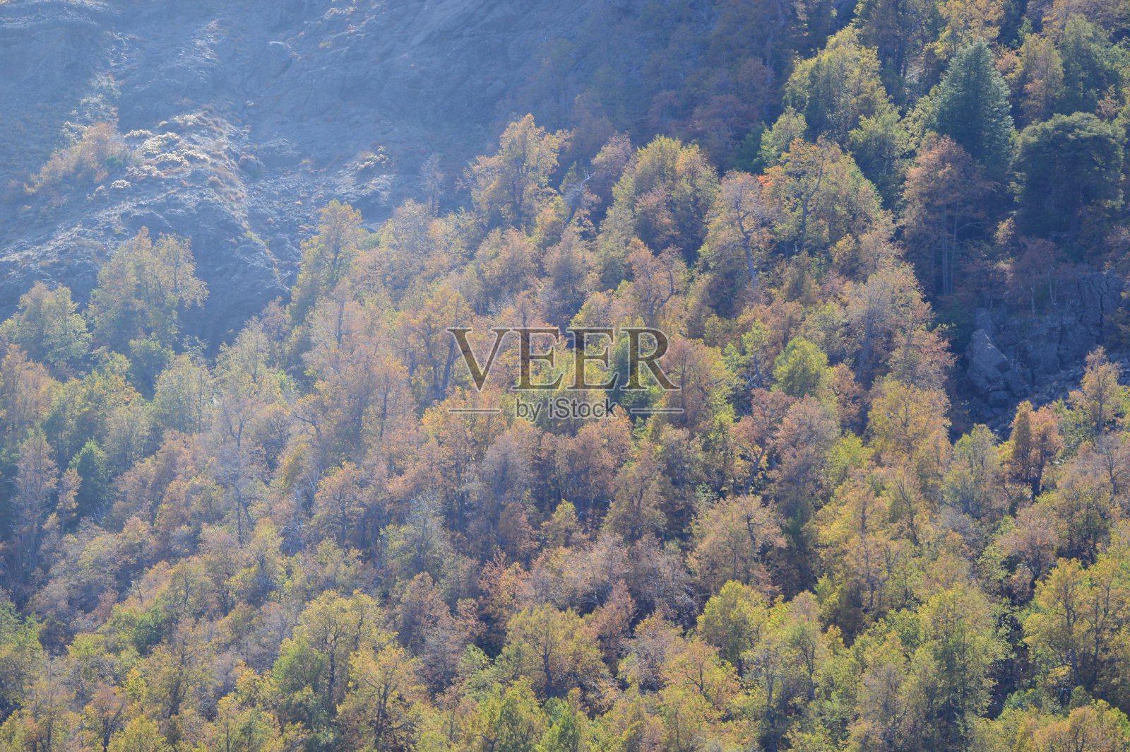 莫利纳公社的英语公园照片摄影图片