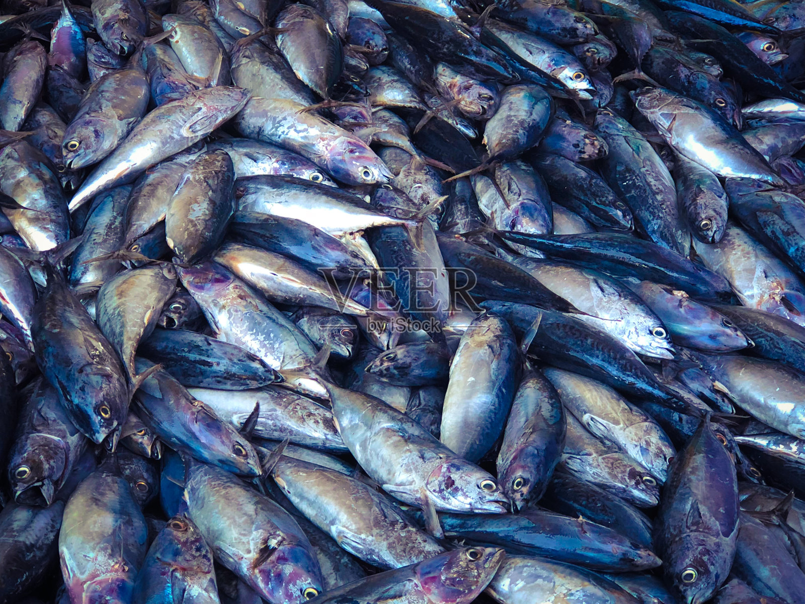 印度的孟买生活照片摄影图片