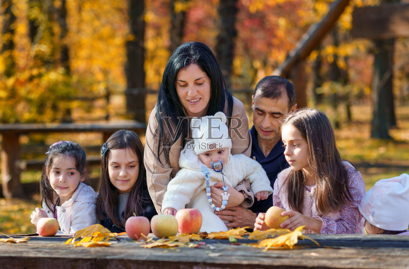 一家人在秋天的城市公园野餐，孩子和父母一起坐在桌边，用苹果和黄色的枫叶，快乐的人享受美丽的大自然，阳光明媚的一天照片摄影图片