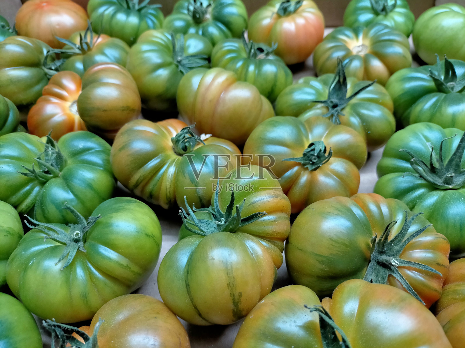 Raf西红柿，美食西红柿，最昂贵的西红柿之一，前景中的几个西红柿。照片摄影图片