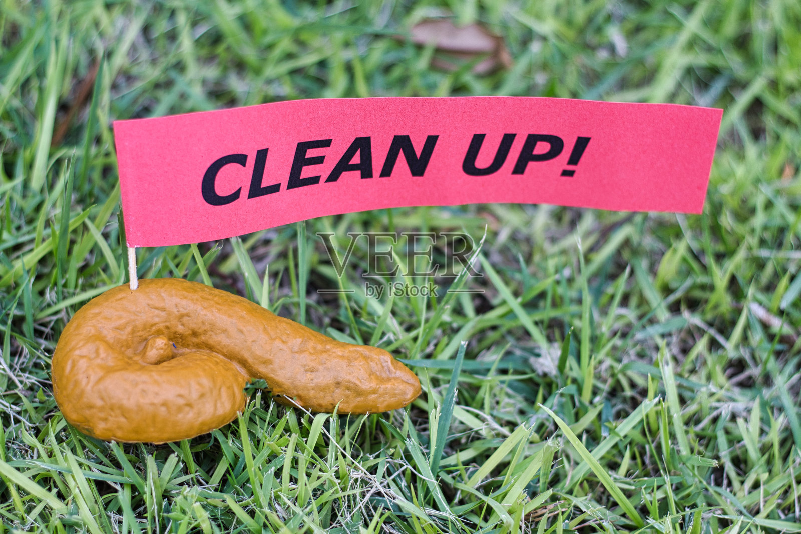 狗的粪便躺在地上，主人没有捡起来。照片摄影图片